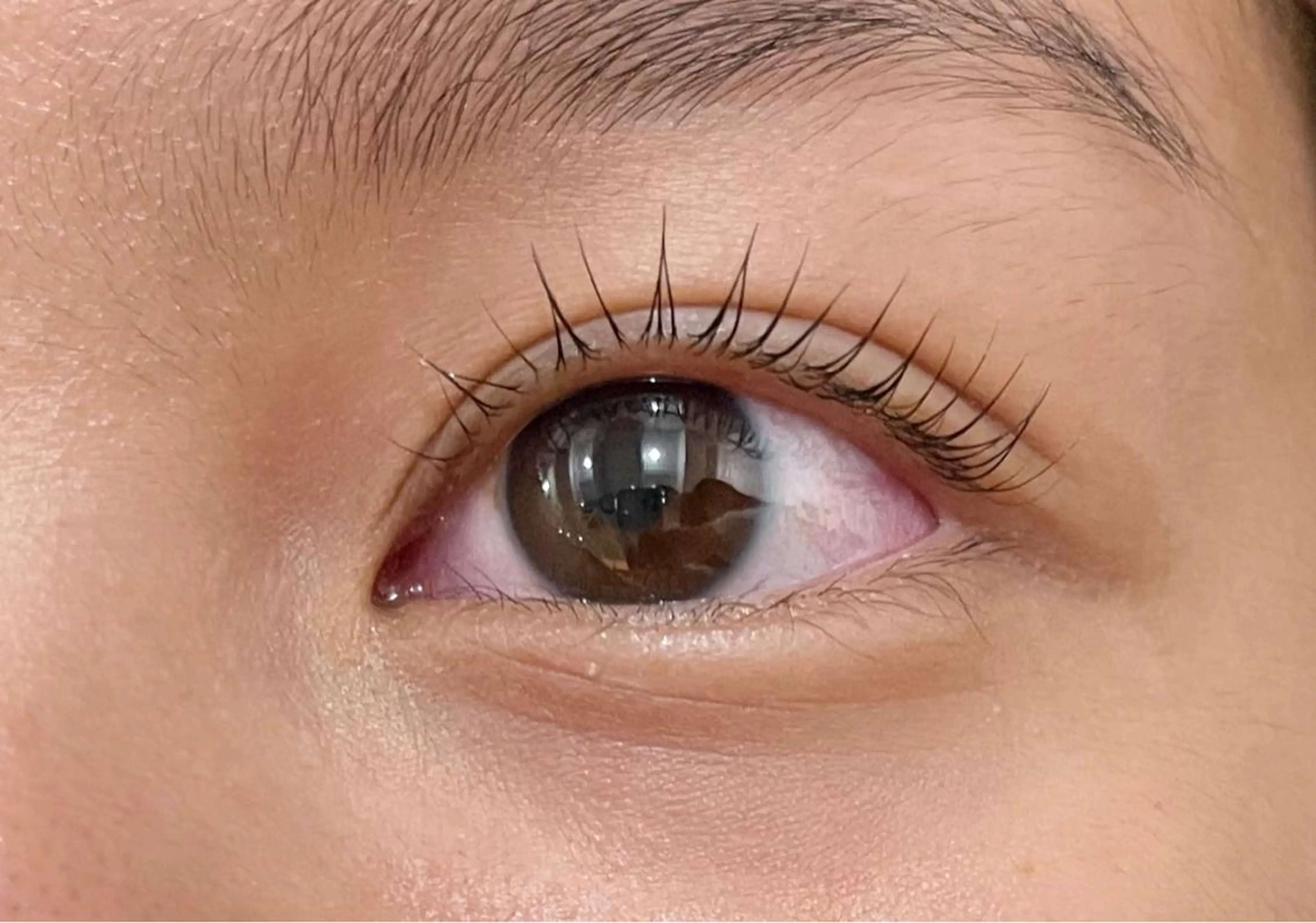 マツエク・マツパ マリーテレジア 🌻RUKAのマツエク・マツパデザイン