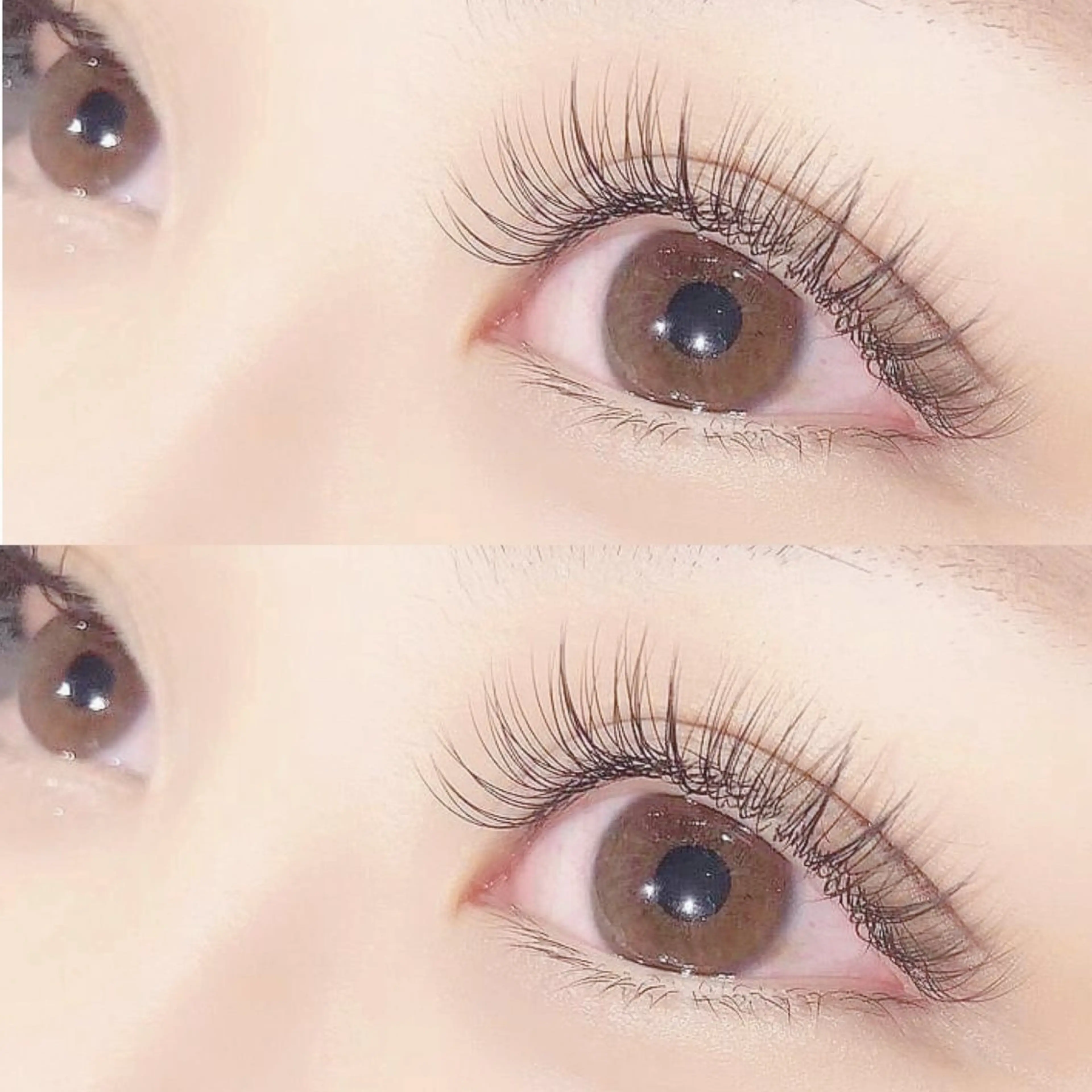 【‎🤍マツエク付け放題（180​〜​200本）‎🤍】 《コーティング仕上げサービス》の写真