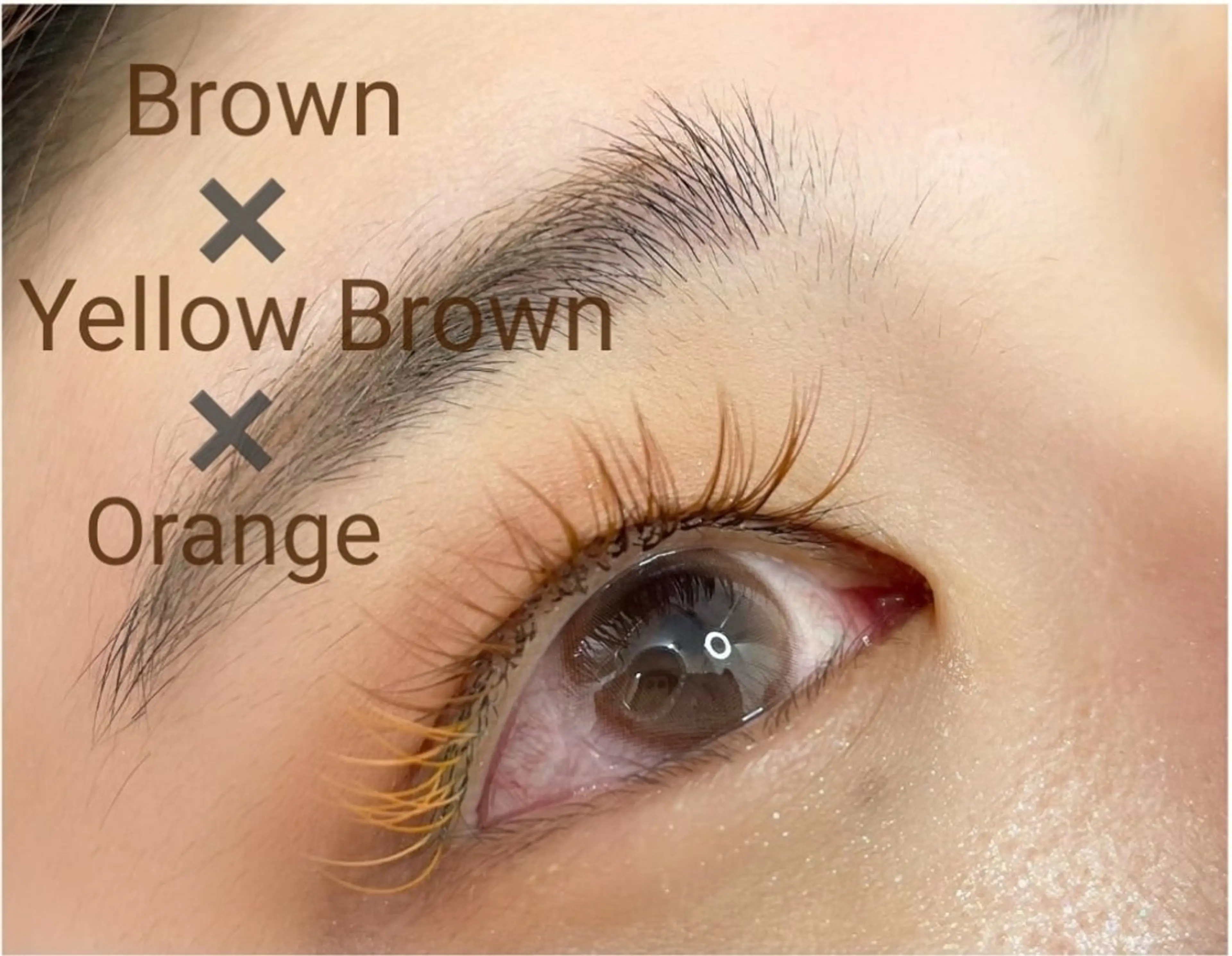 マツエク・マツパ eyelash salonpityのマツエク・マツパデザイン