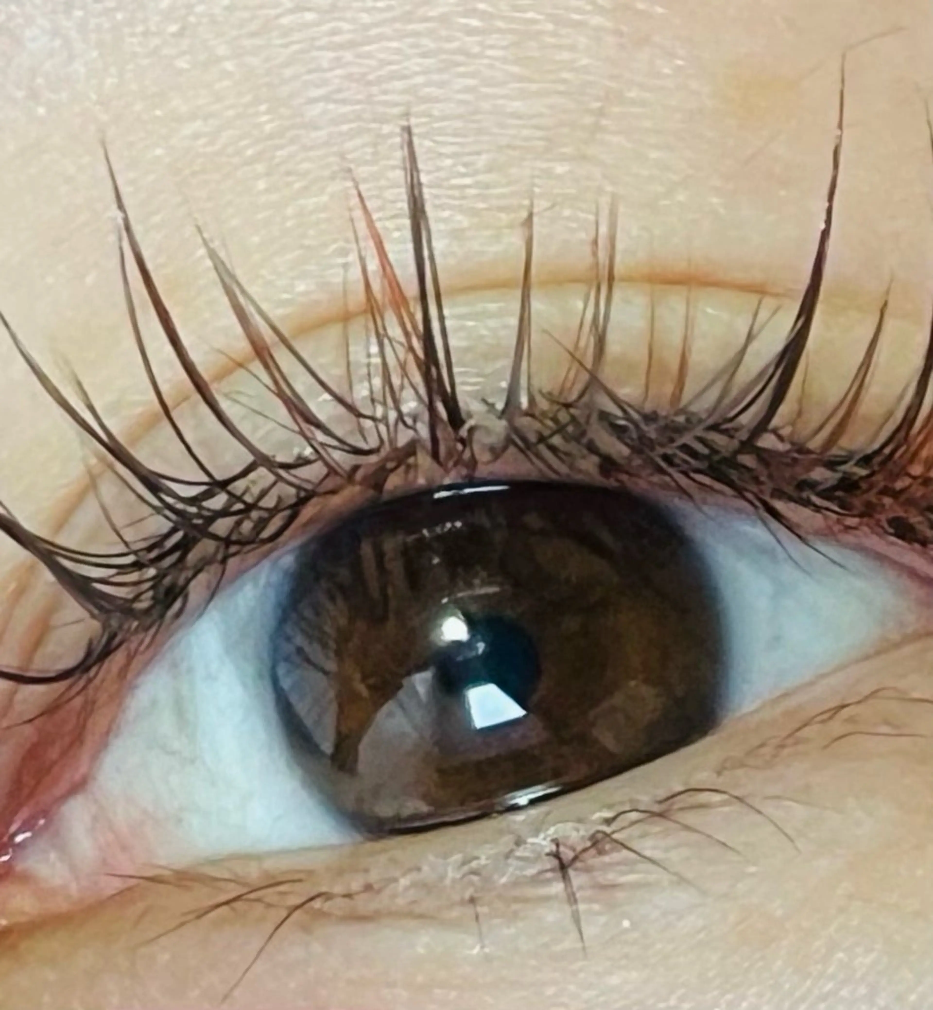 マツエク・マツパ マツエク K&E lashe /大垣　まつ毛、眉毛のマツエク・マツパデザイン