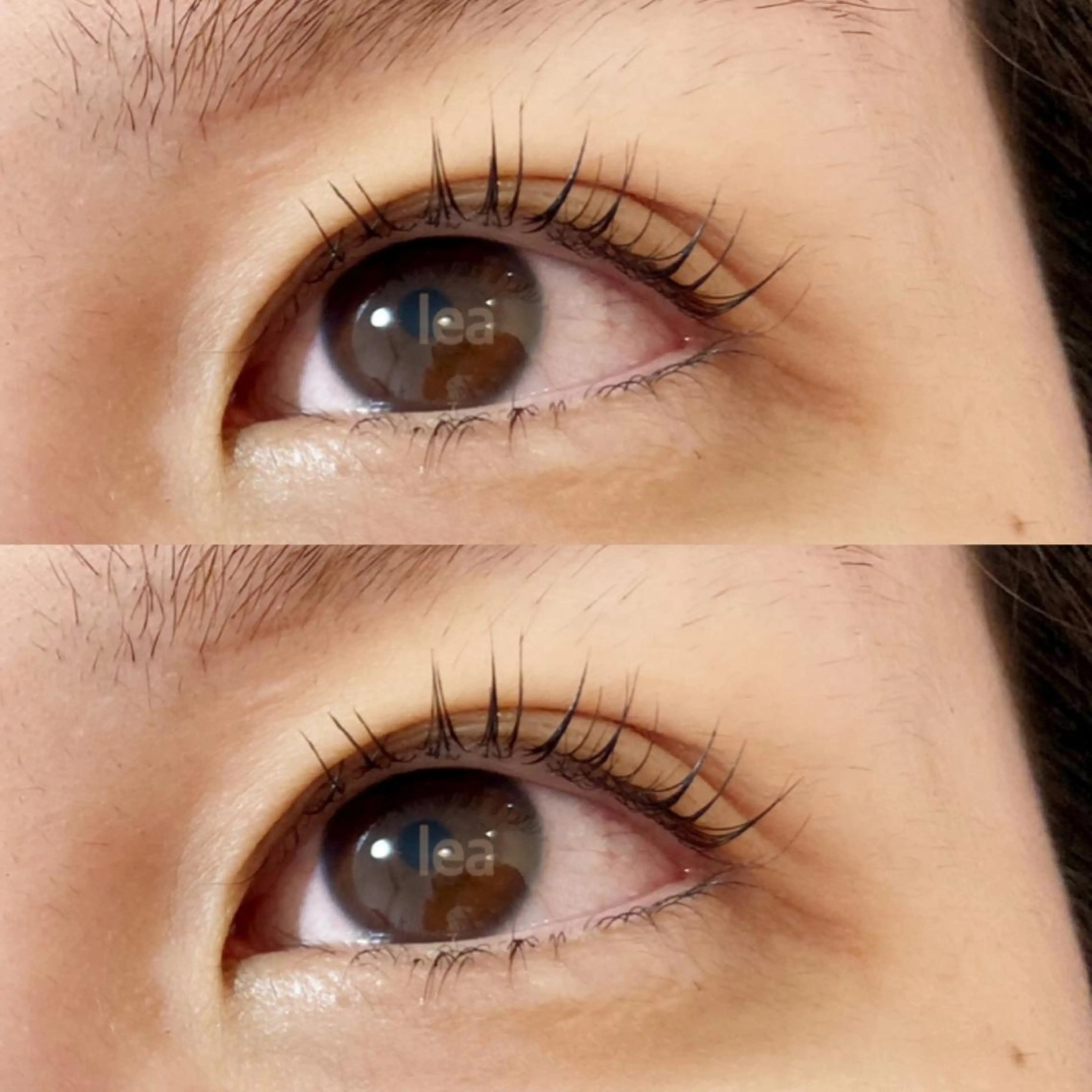 マツエク・マツパ パリジェンヌラッシュリフト eyelash leaのマツエク・マツパデザイン
