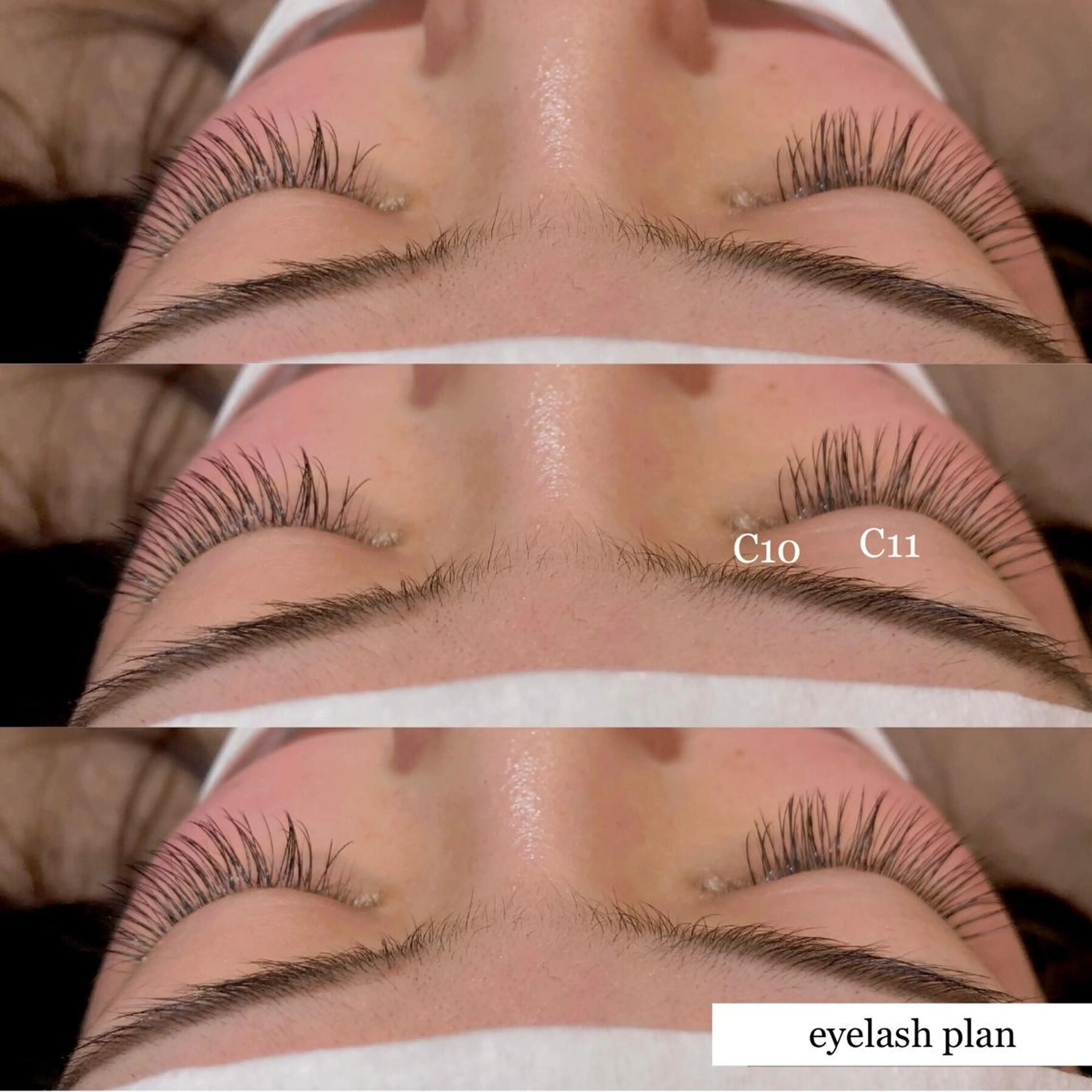 マツエク・マツパ 《eyelash ｉｉｔｅ》森のマツエク・マツパデザイン