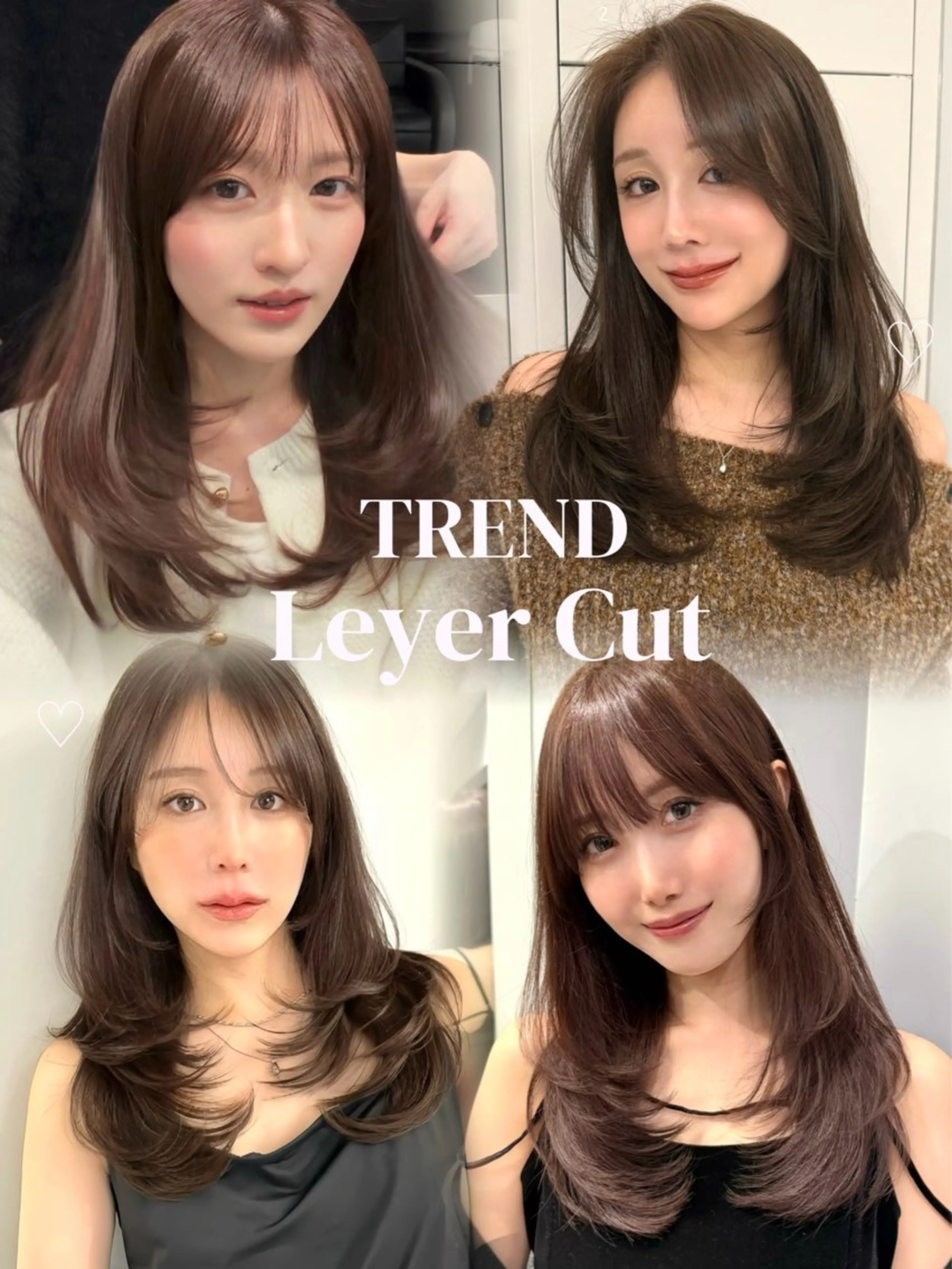 ミディアム カラー 内野   龍海 / レイヤーカットのヘアスタイル