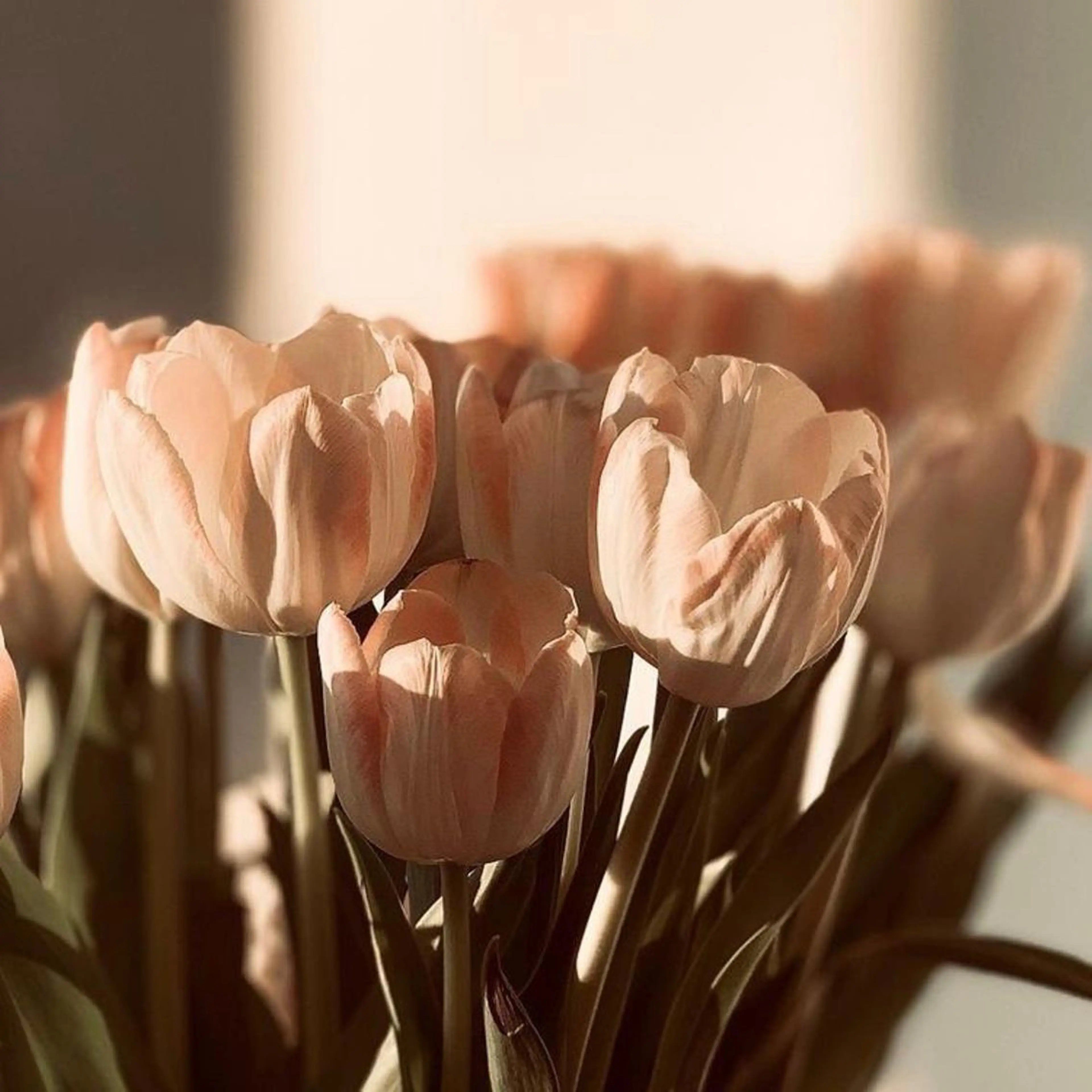 マツエク・マツパ MOE /渋谷・明治神宮前のマツエク・マツパデザイン