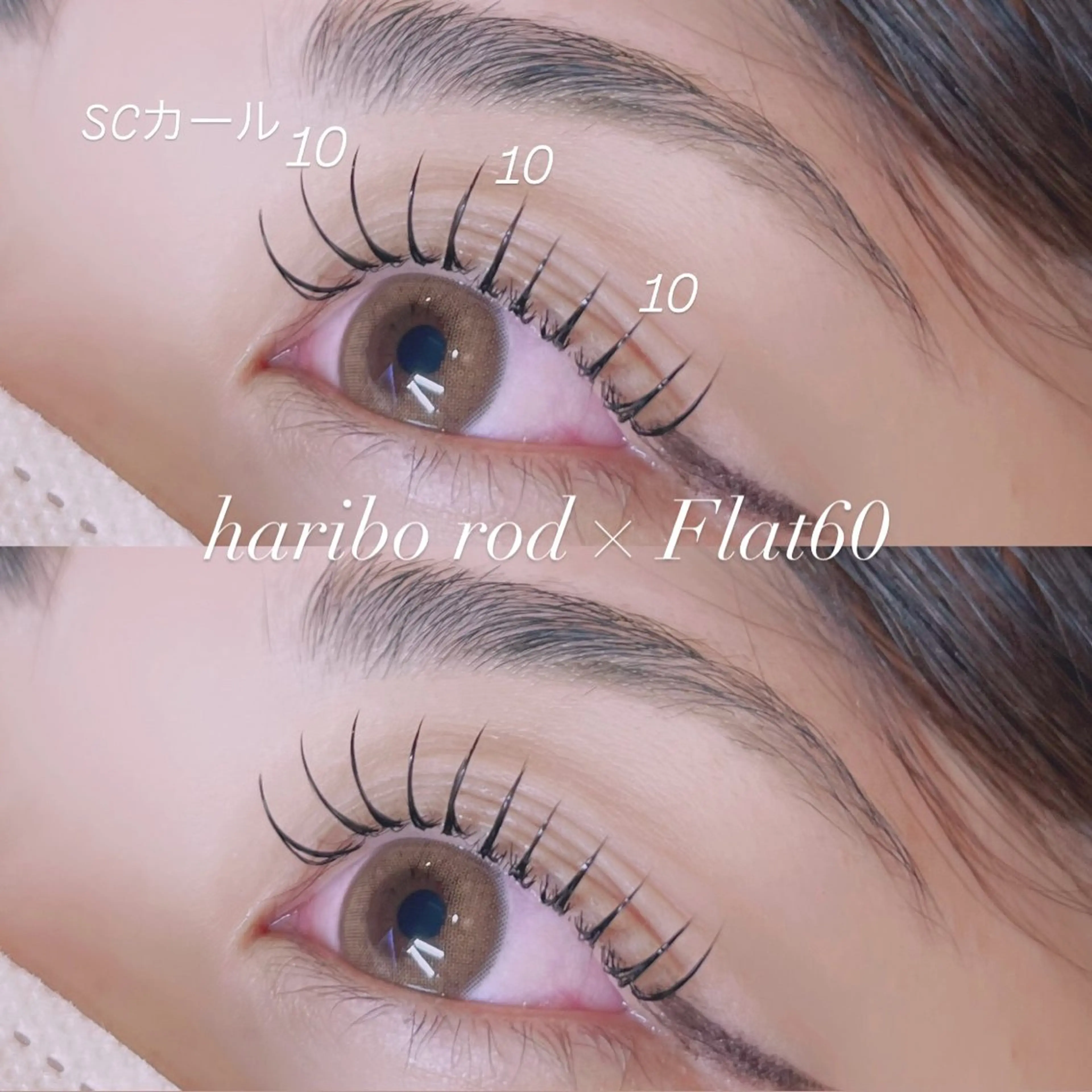 ︎🤍平日限定︎🤍🧸大人気✨パリエク60本🧸似合わせ料金込💫パーマ×エクステ 特別アイシャンプー付⟡.·*.の写真