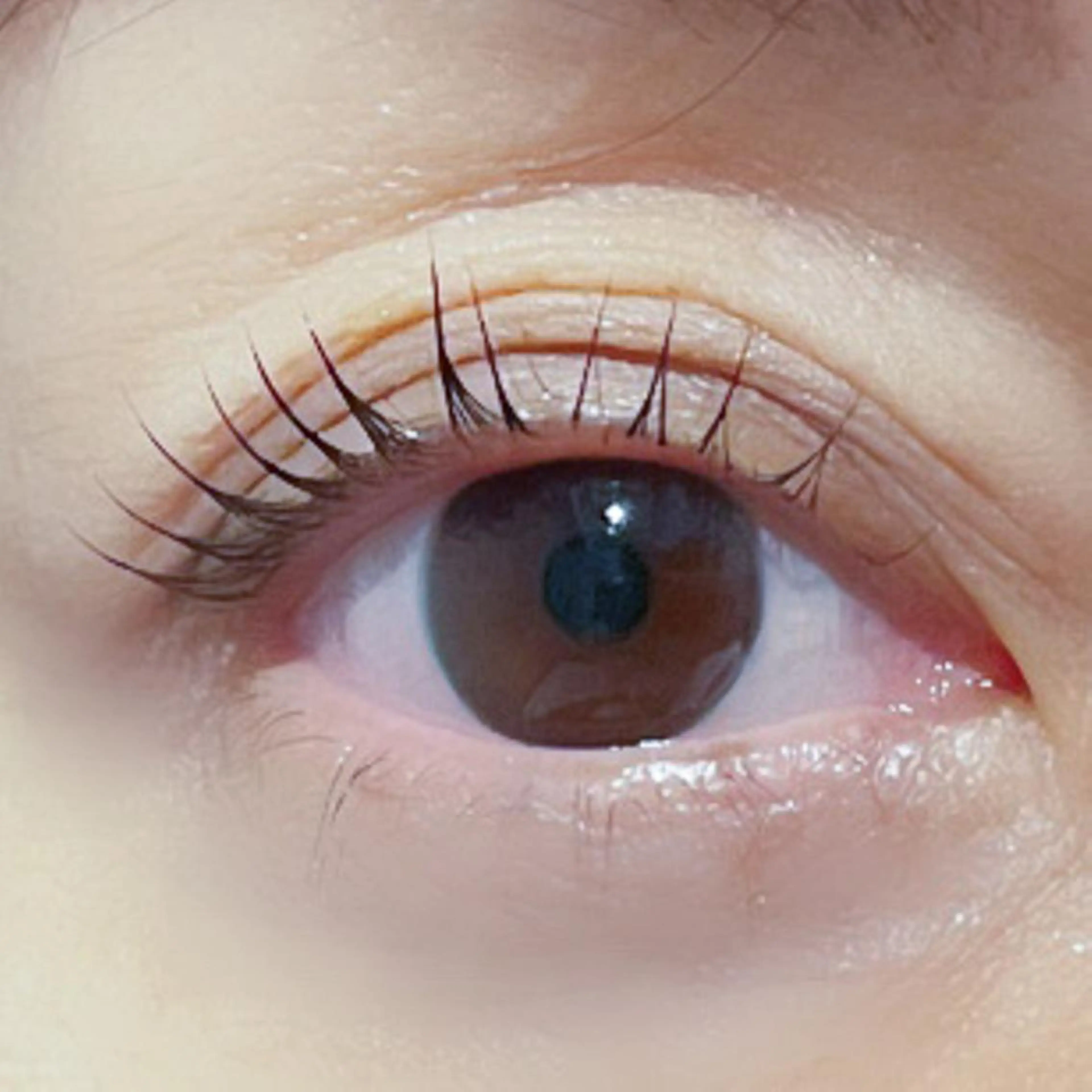 マツエク・マツパ 飯田/Tomo's HairDesignのマツエク・マツパデザイン