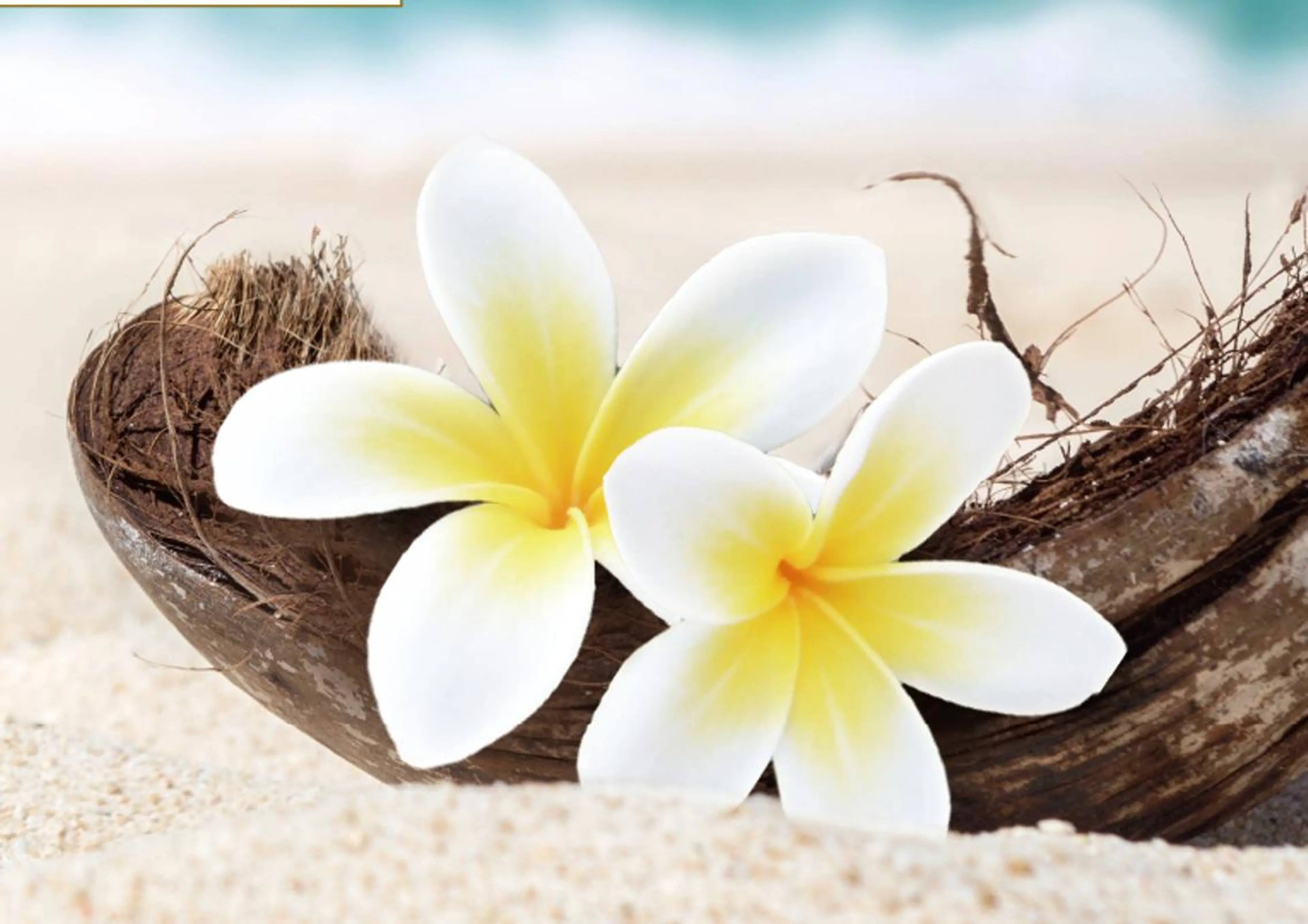 マツエク・マツパ EARTH 永山のマツエク・マツパデザイン