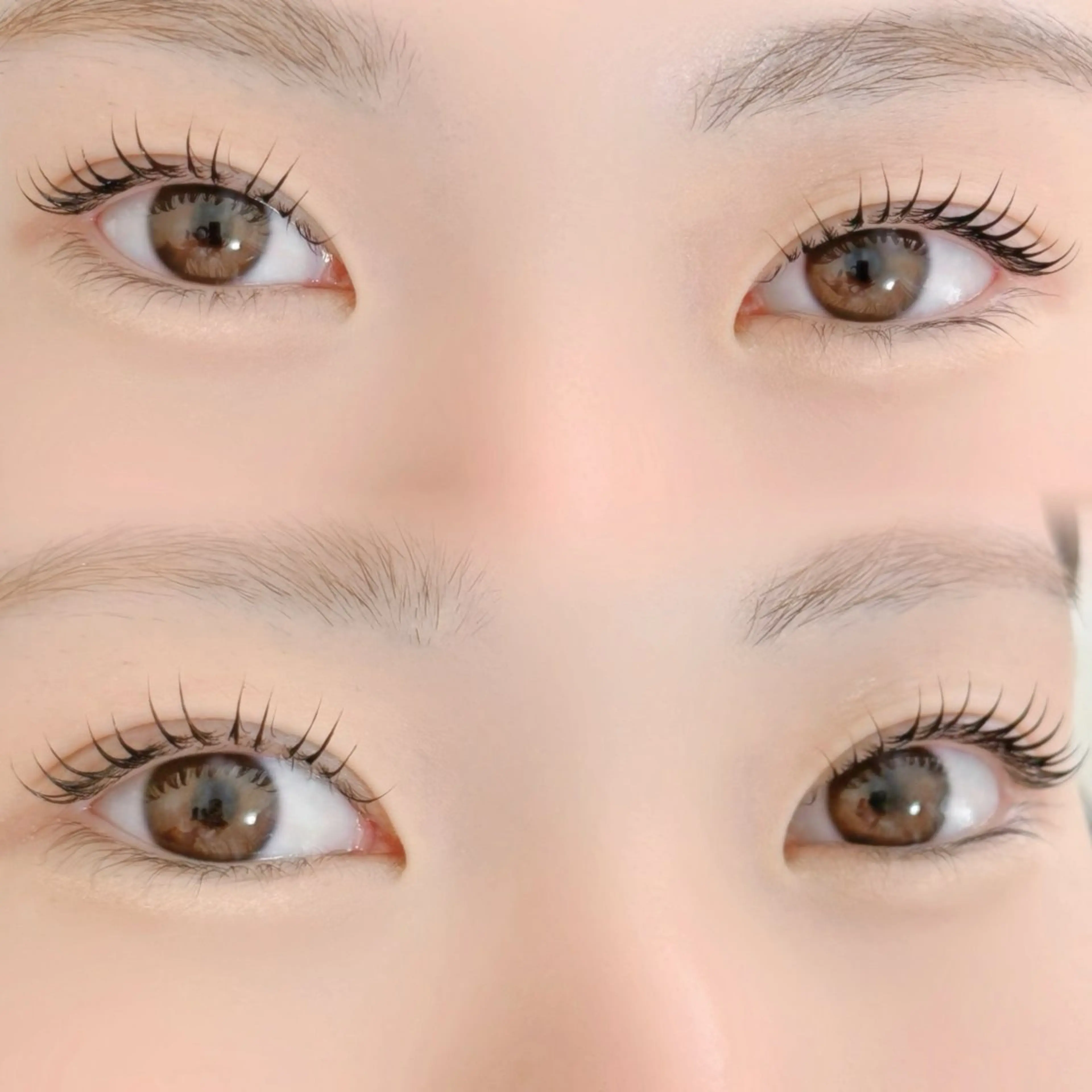まつ毛ティント×まつ毛パーマorラッシュリフトの写真