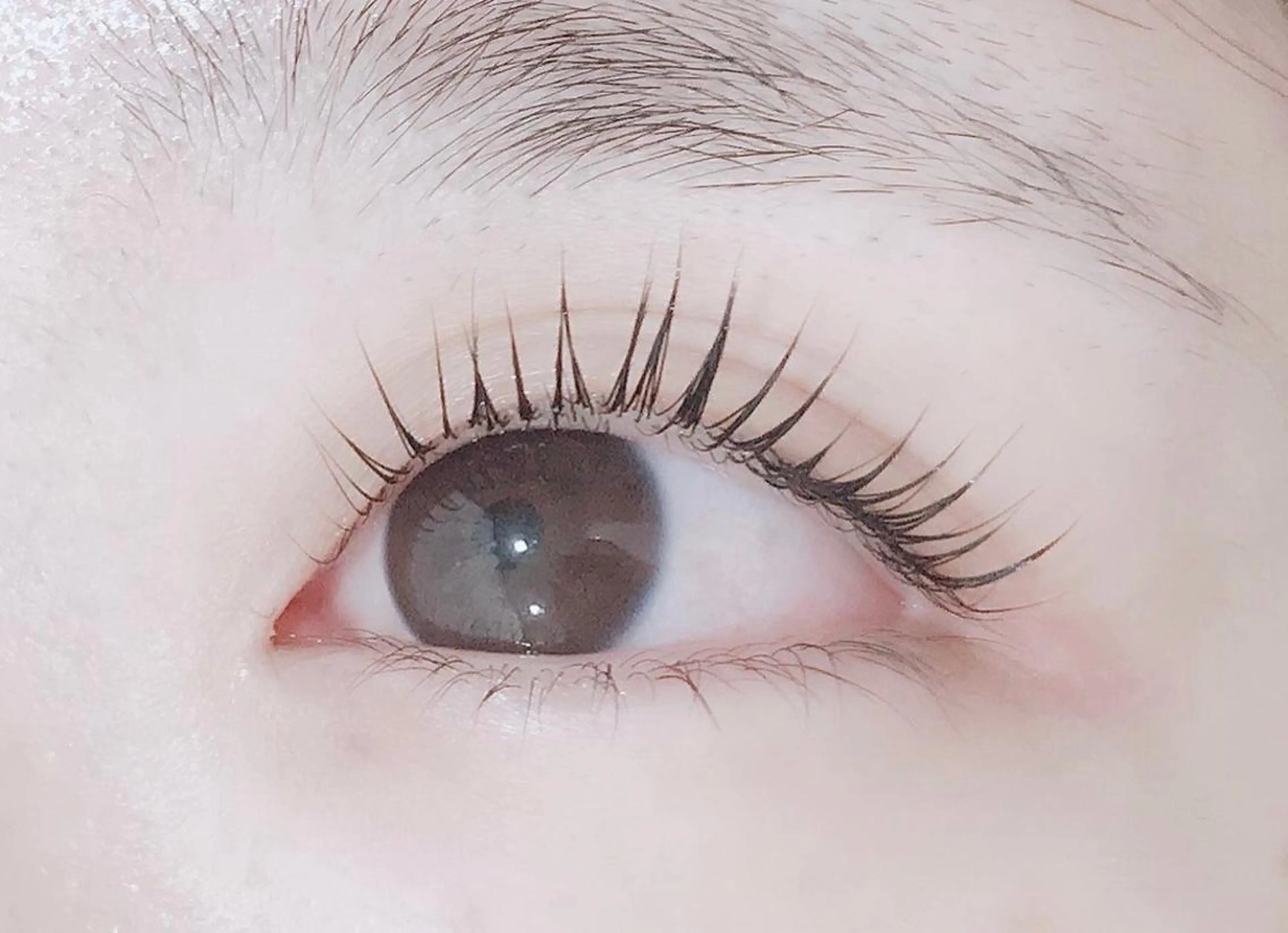 マツエク・マツパ ELLA 菊地のマツエク・マツパデザイン