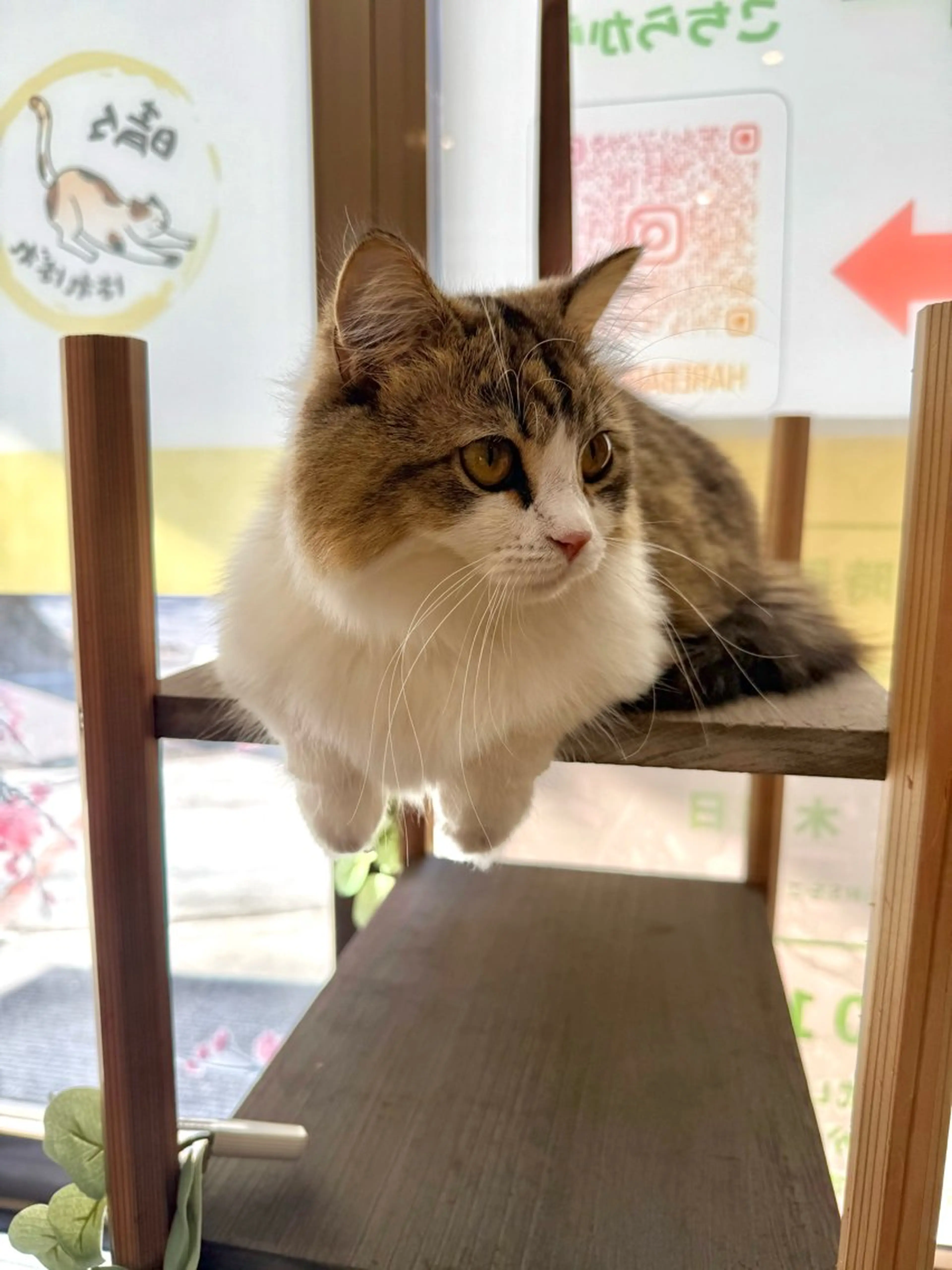 清水 茜音のその他イメージ