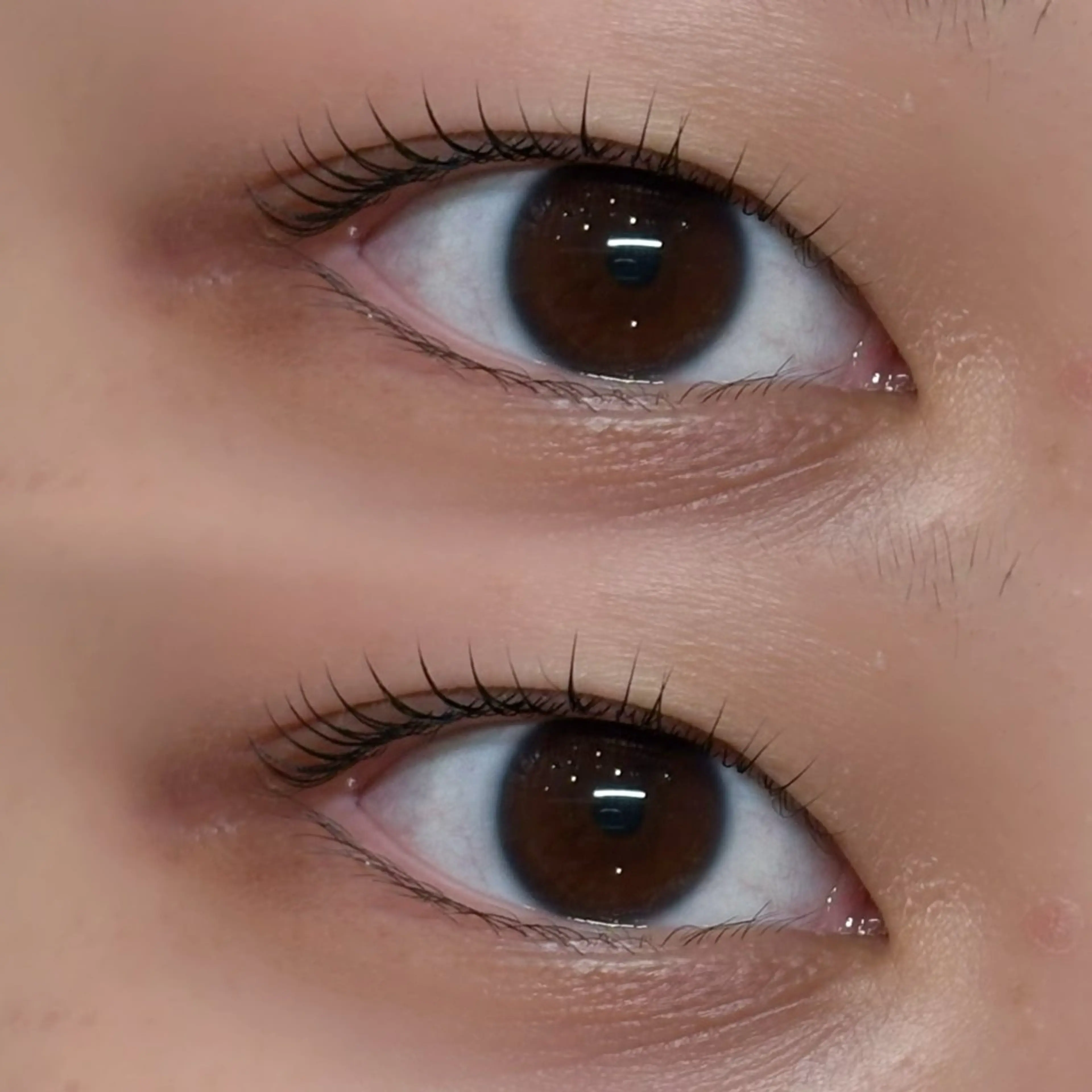 マツエク・マツパ アンドヘルシー/束感 /LED🩶MIYUのマツエク・マツパデザイン