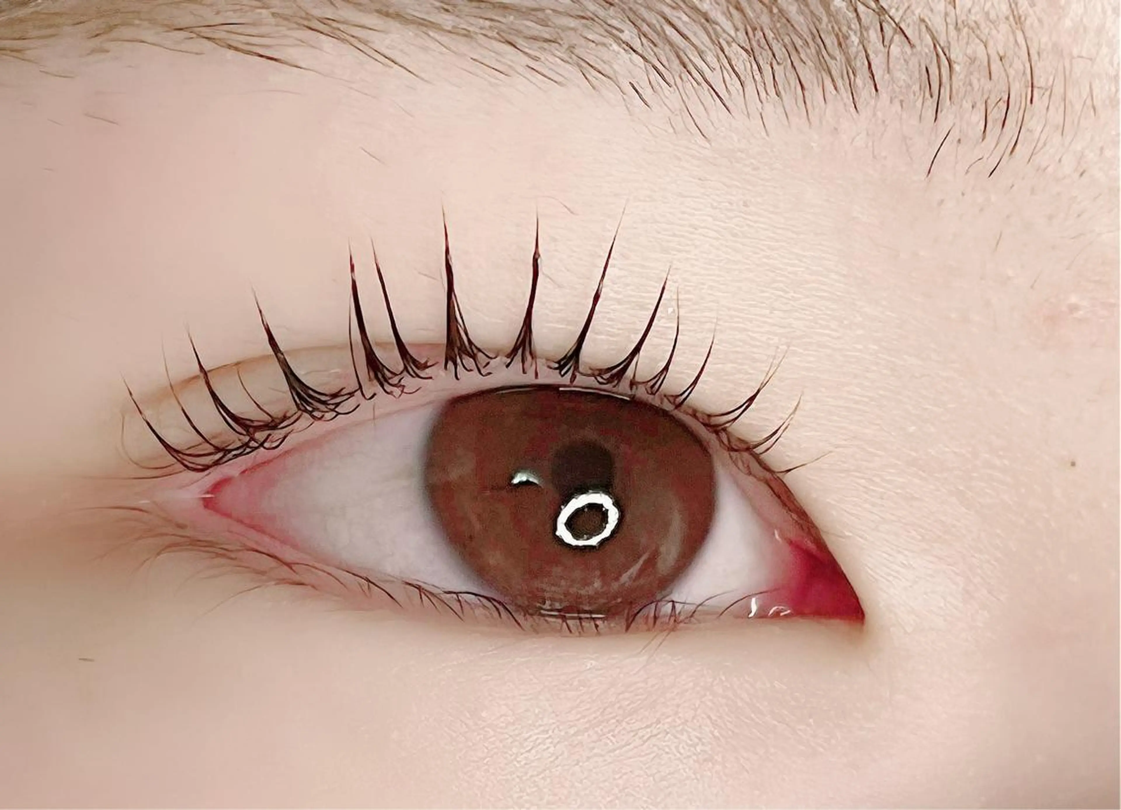 マツエク・マツパ C. Lのマツエク・マツパデザイン