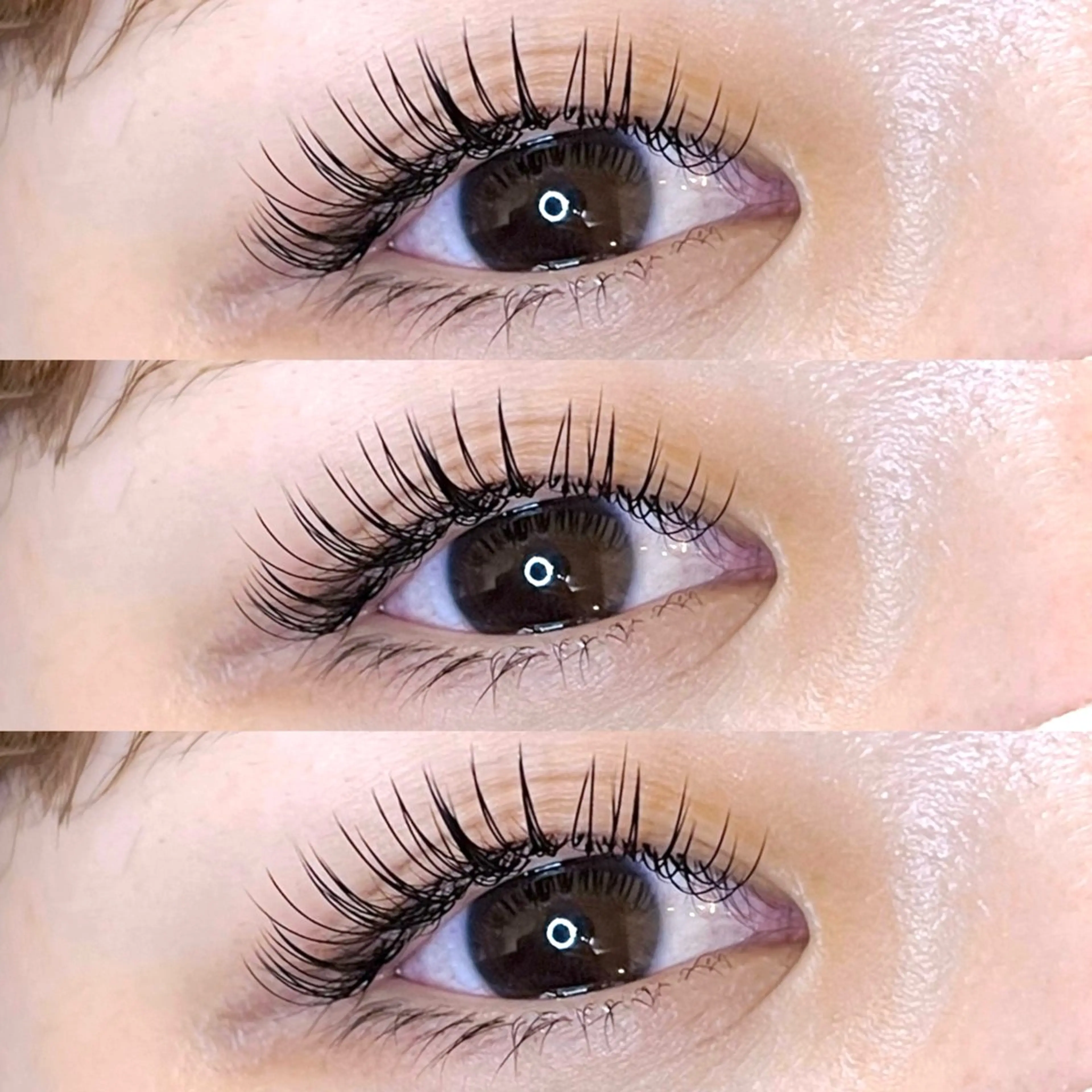 マツエク【フラットラッシュ100本】の写真