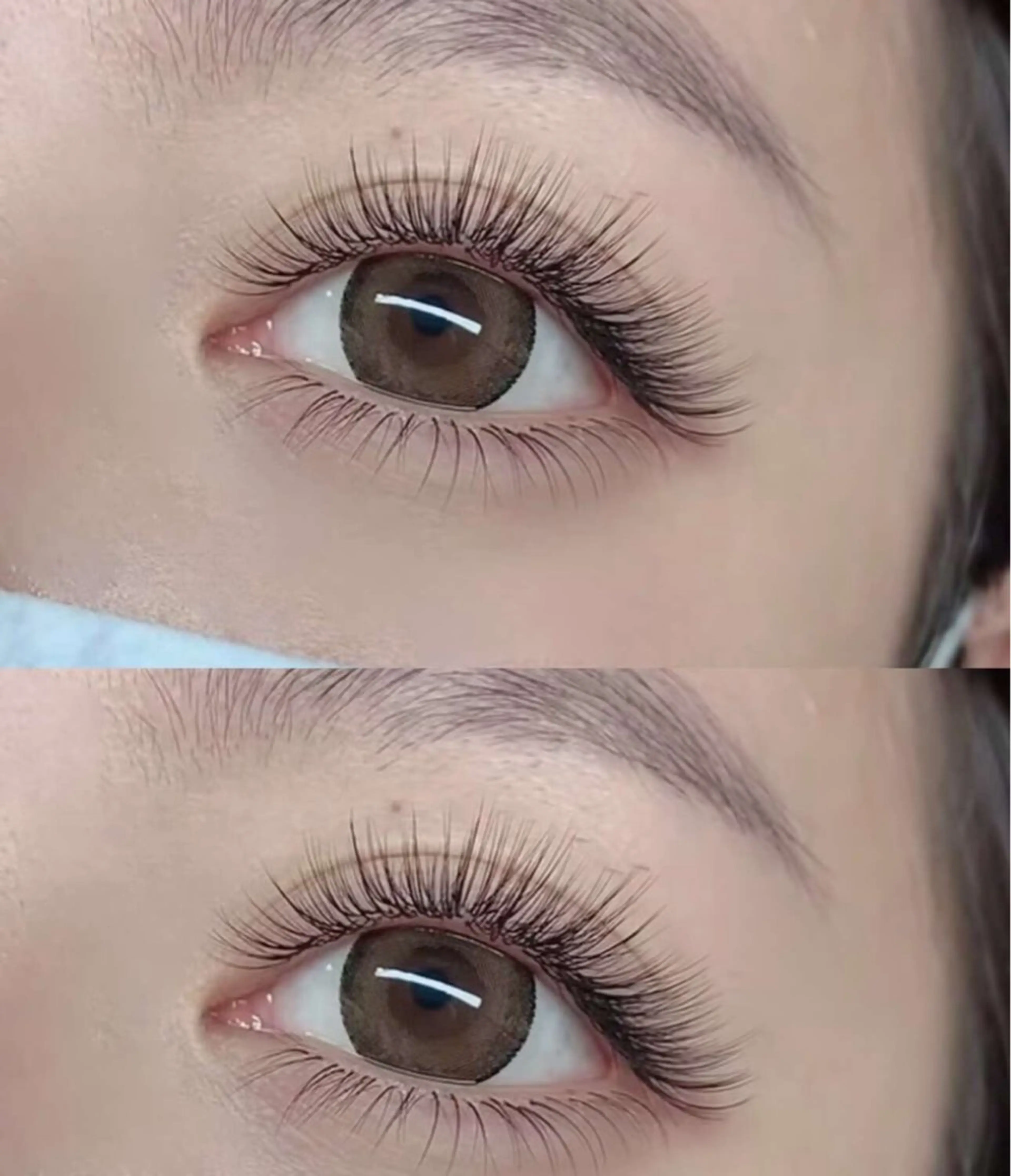 LED+【束感ボリュームラッシュ】つけ放題（LC、LDカールある)/¥9280円(オフ込み)の写真