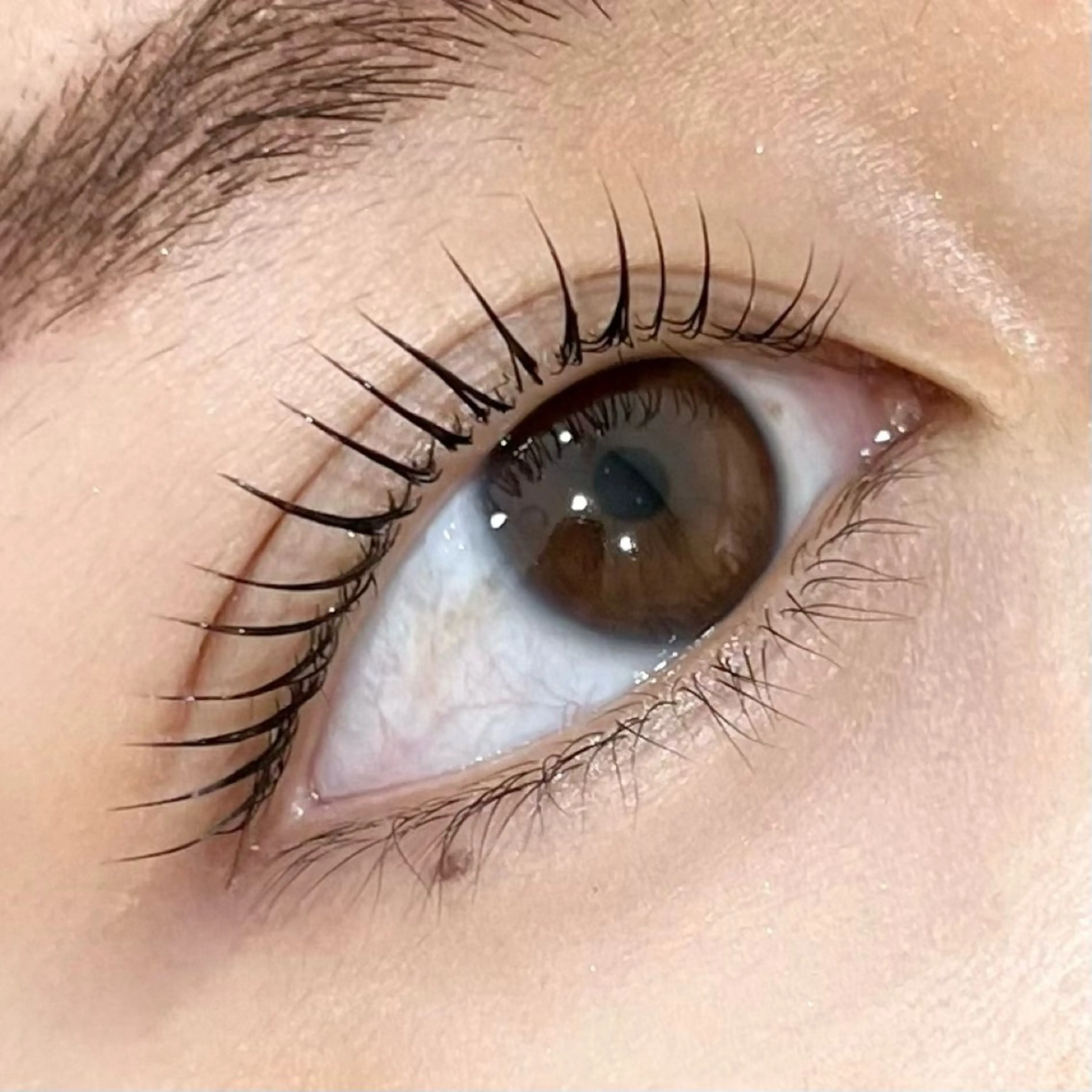 まつ毛パーマ🎀コーティング剤付きの写真