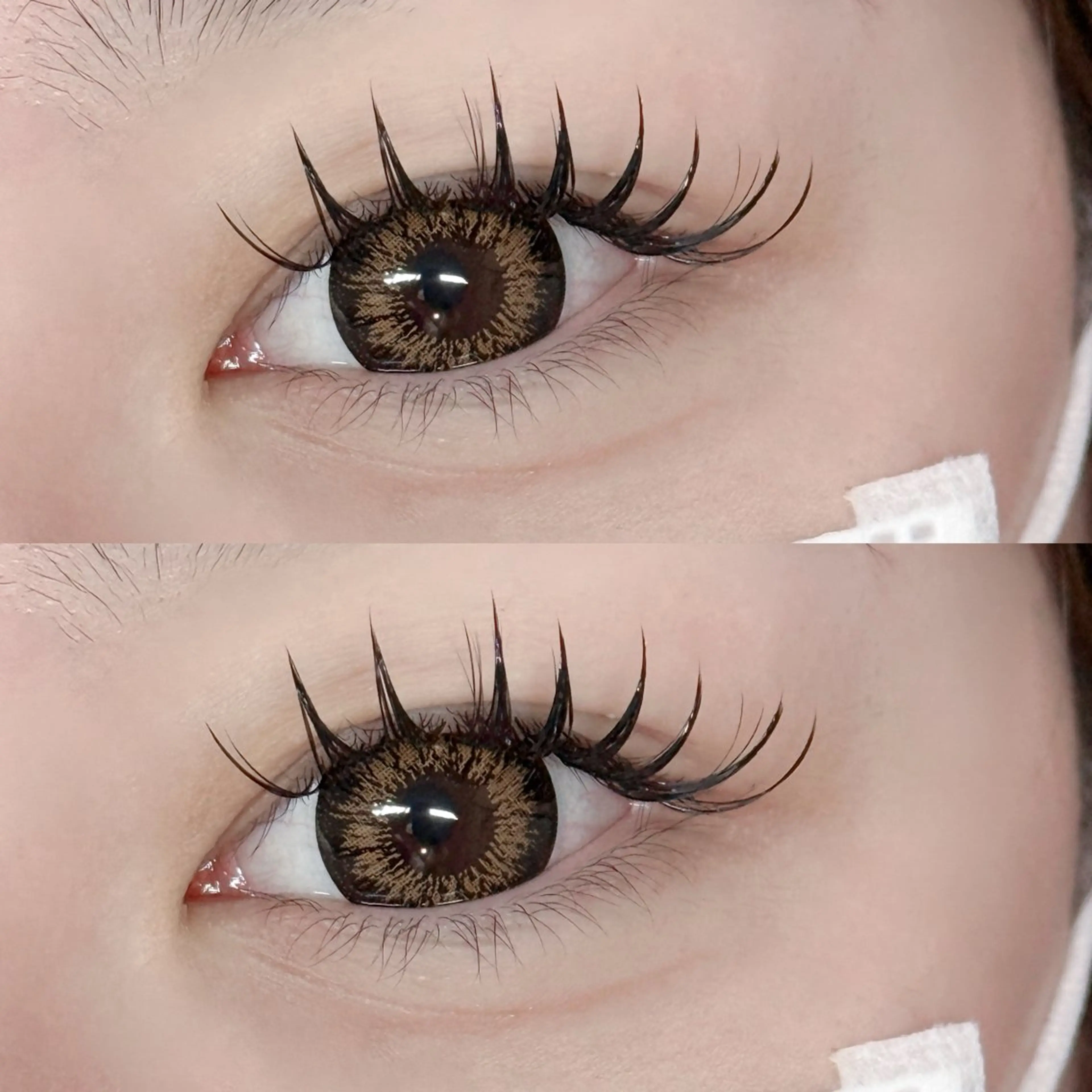 バインドロック100束➕コーティング付き🪐の写真