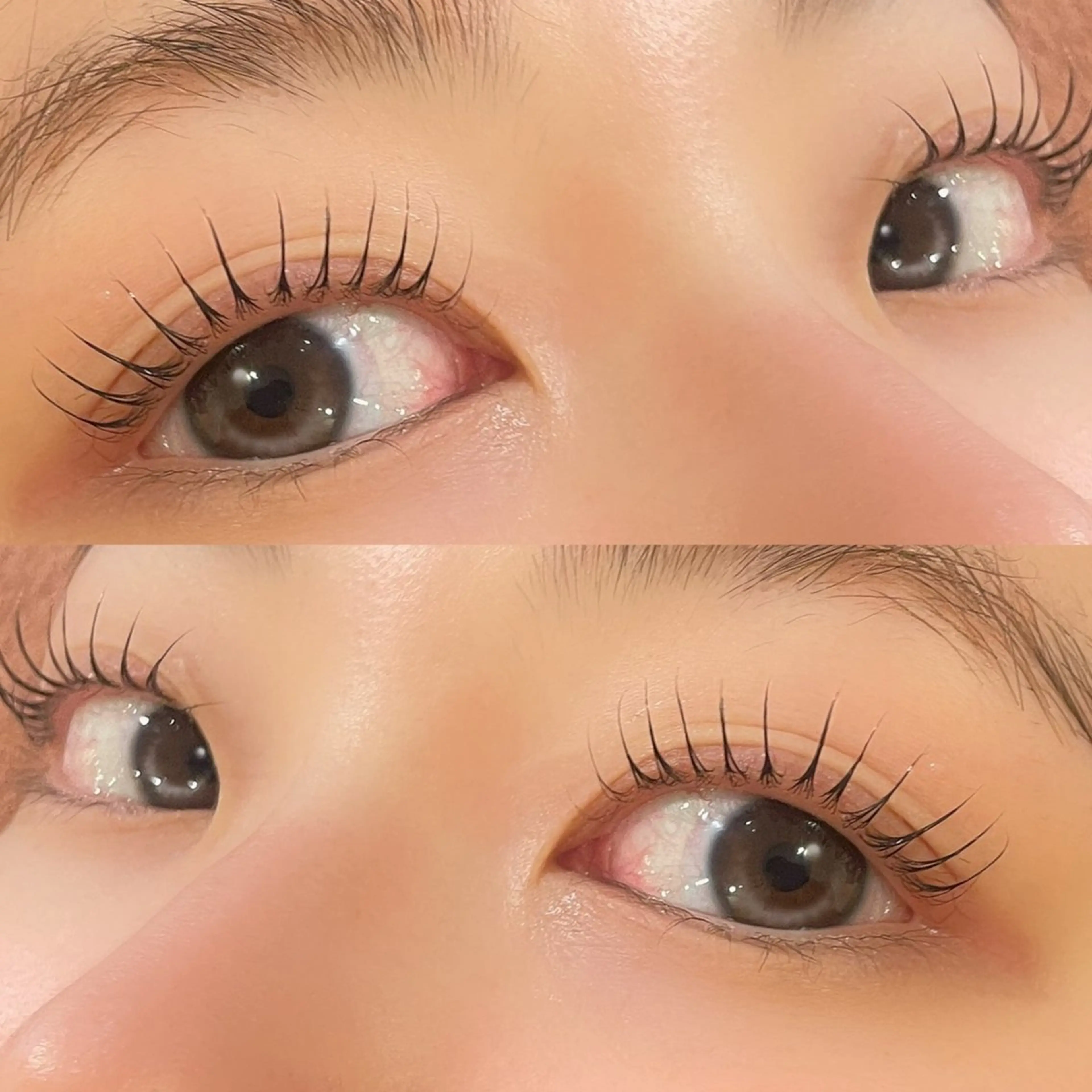 セットでお得🌷【マツパ＋眉Wax】パリジェンヌor次世代パーマの写真