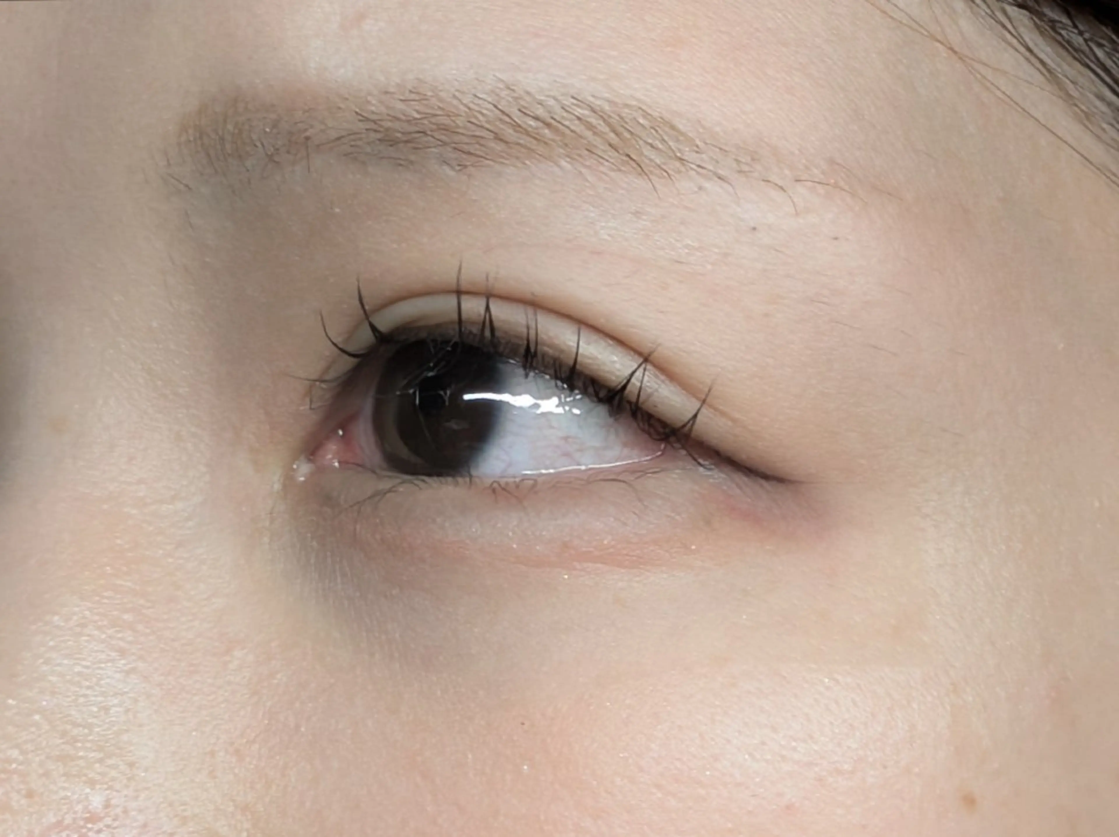 マツエク・マツパ まつげパーマ Sun Brown Ryu-gaのマツエク・マツパデザイン