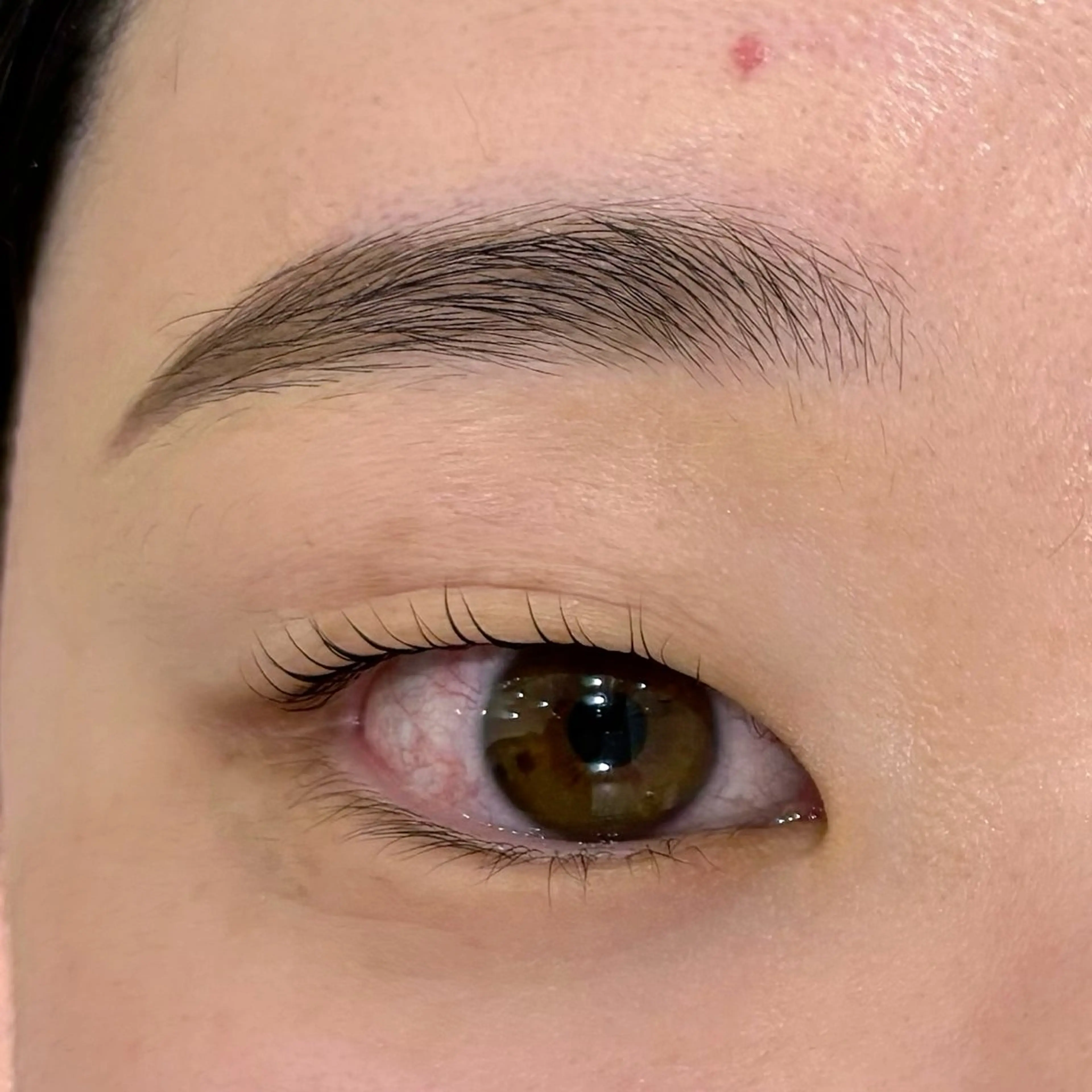 マツエク・マツパ ワックス脱毛 眉カット その他(アイブロウ) 藤原 みやびのヘアスタイル