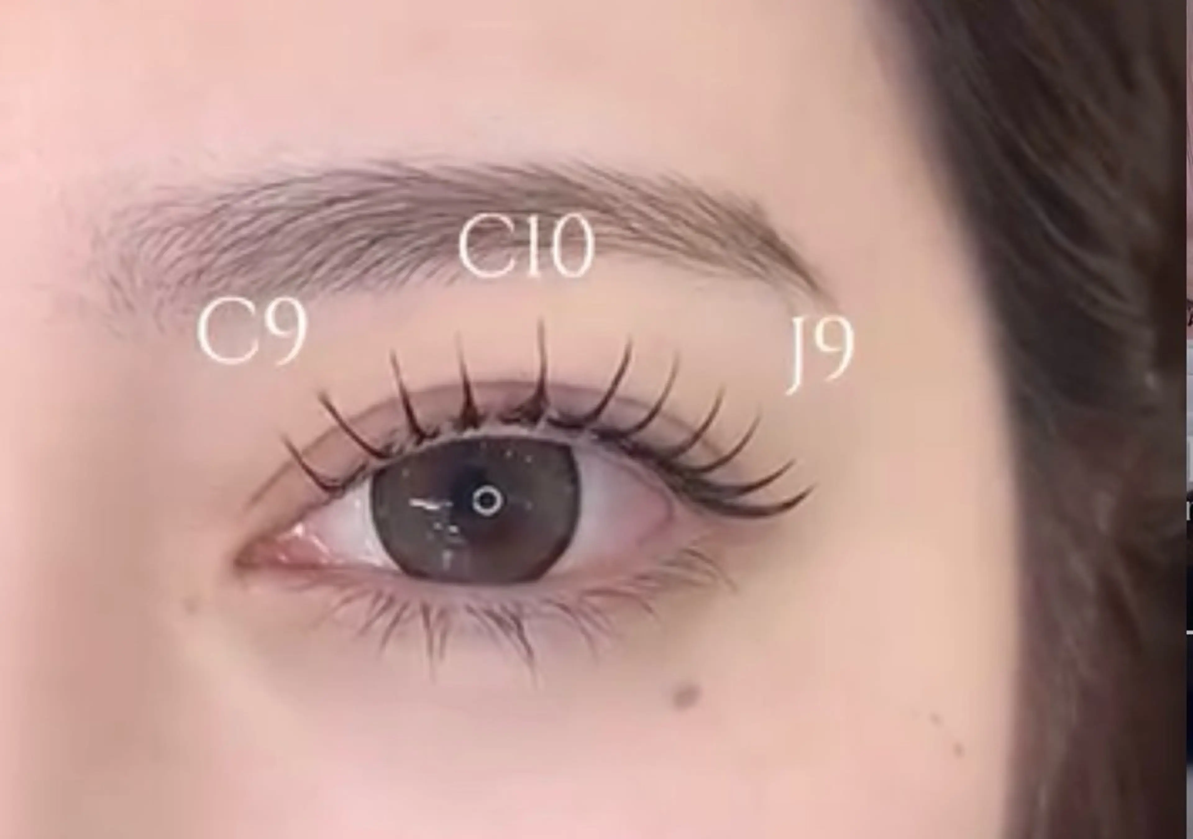 平日限定♡フラットラッシュ120本🦋の写真