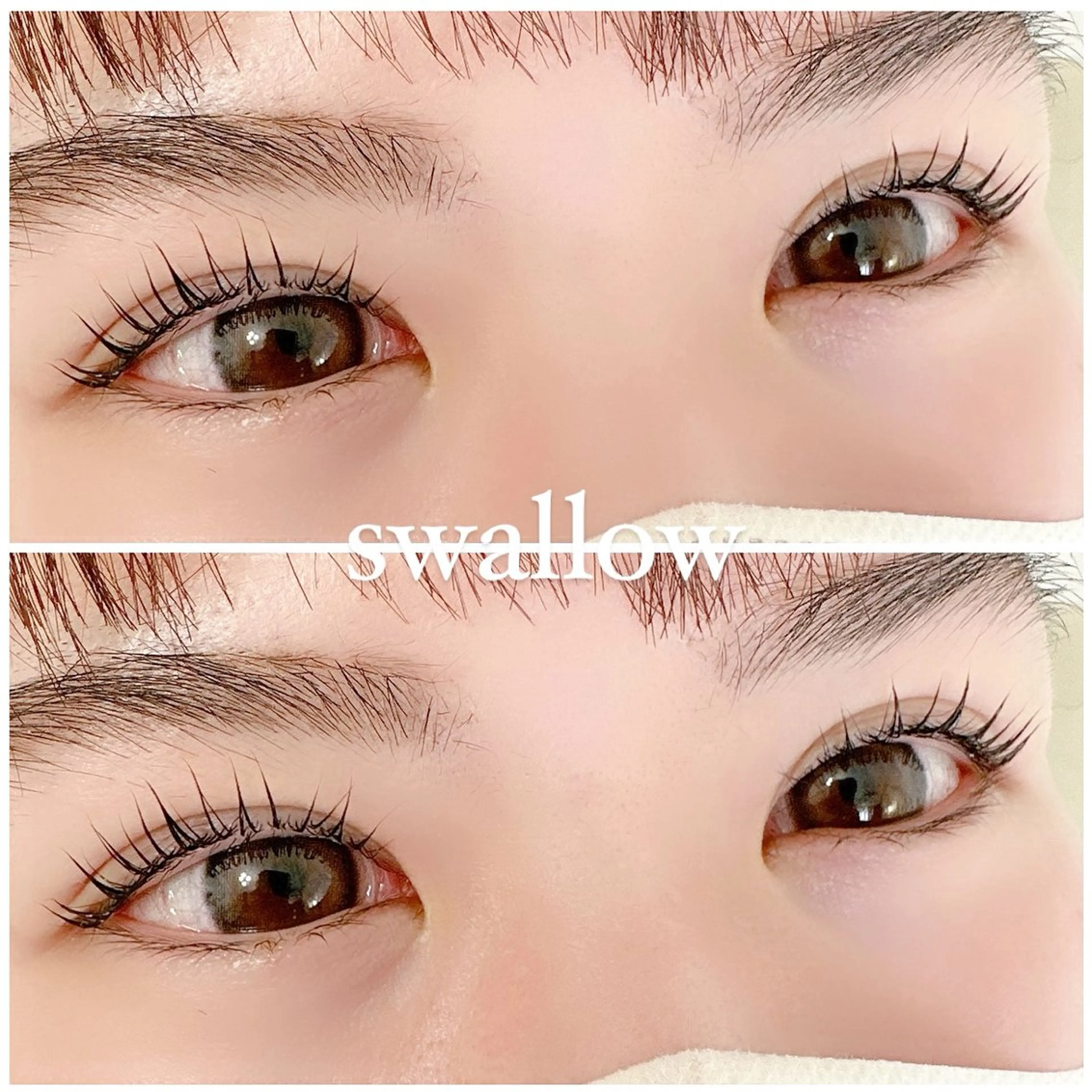 マツエク・マツパ Dカール 一重×まつ毛パーマ swallow 奈良西大寺店のマツエク・マツパデザイン