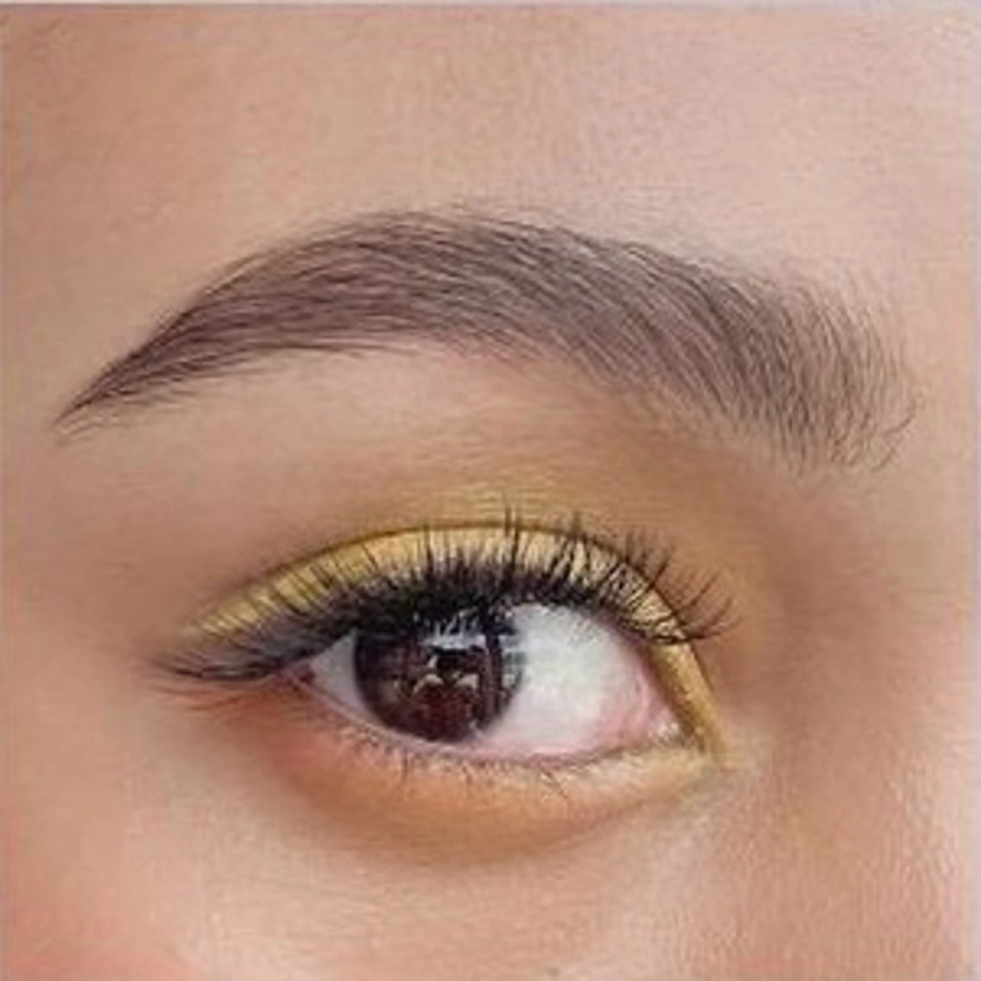 アイブロウ ワックス脱毛 その他(アイブロウ) 海外風まつげ眉毛 恵比寿｜masayoのマツエク・マツパデザイン