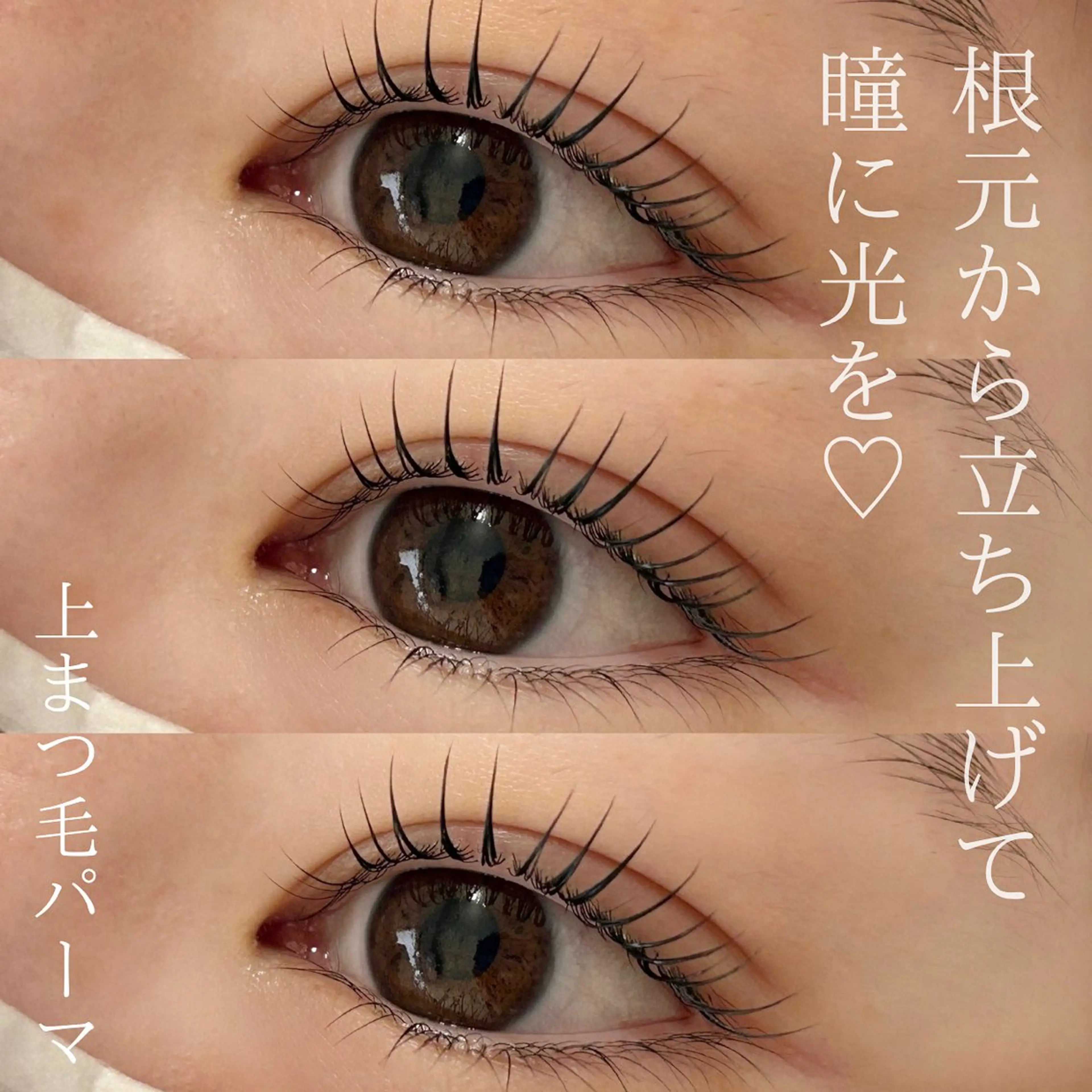 マツエク・マツパ まつげパーマ マツパ times salon所属・ボウ🪞ヘアセット /マツパ/眉毛のマツエク・マツパデザイン