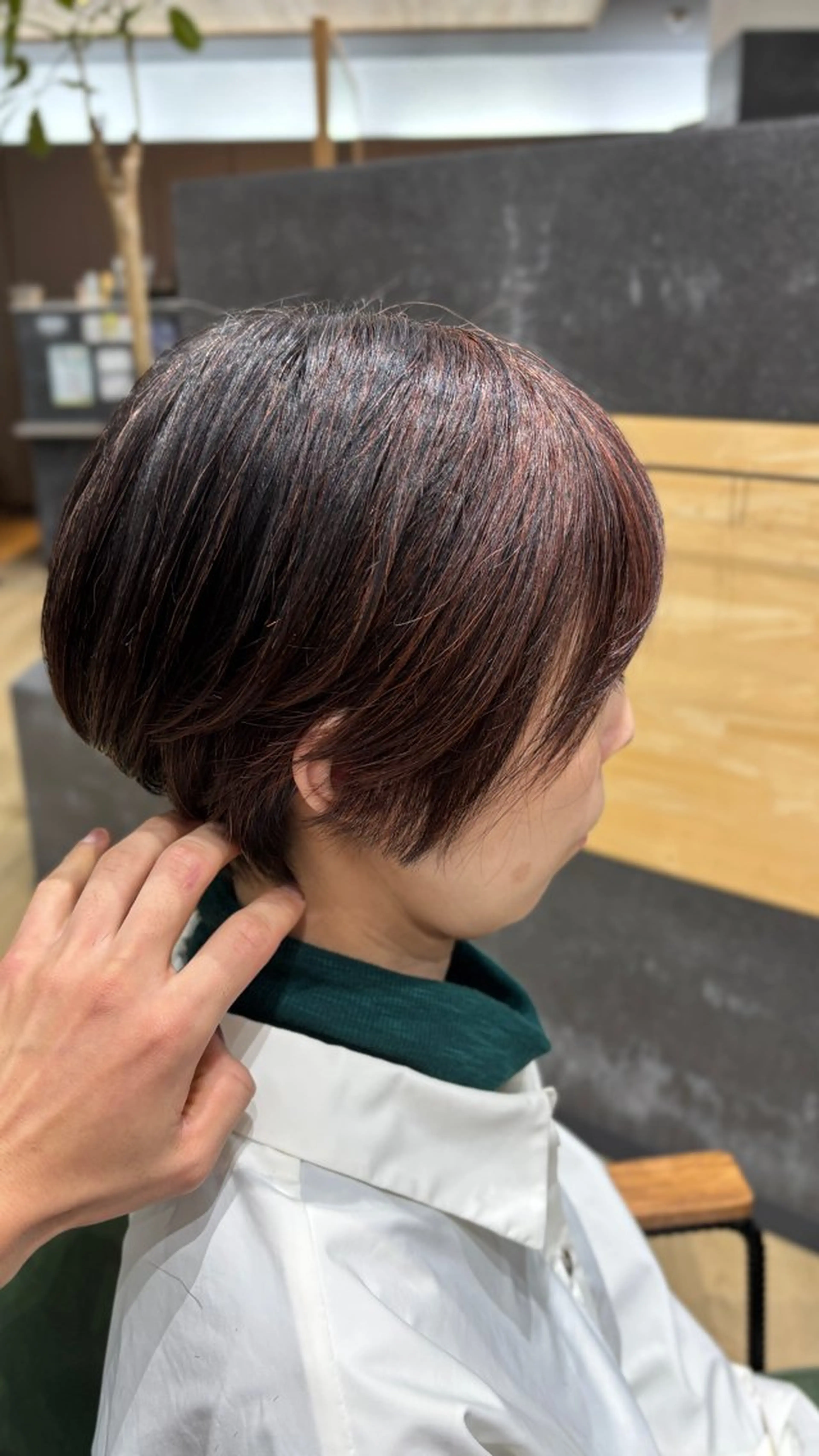 ショート ボブ 似合わせカット ショートヘア 菊池 蓮のヘアスタイル