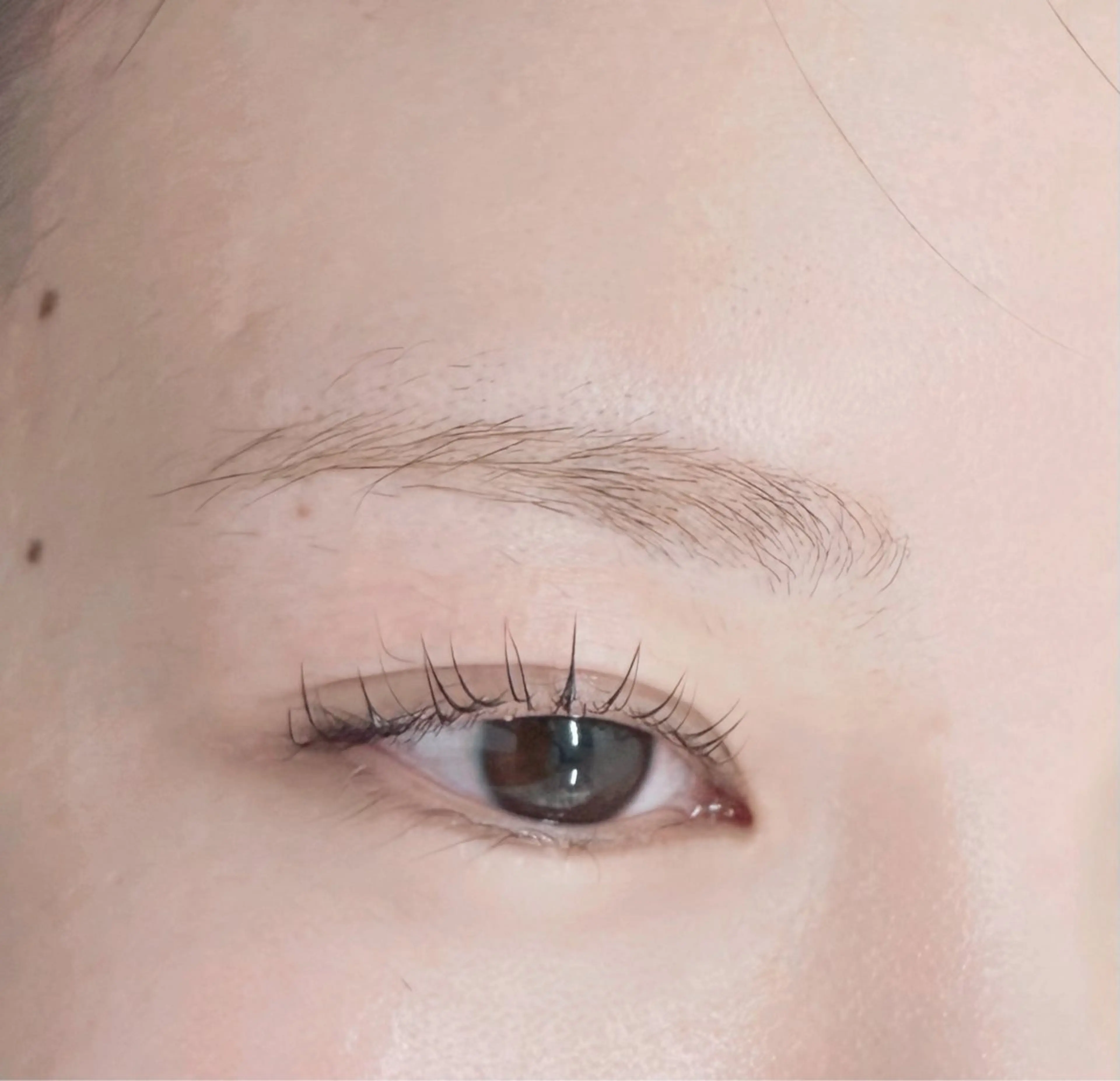 マツエク・マツパ パリジェンヌラッシュリフト マツパ y'sbeauty 天王寺店tomohaのマツエク・マツパデザイン