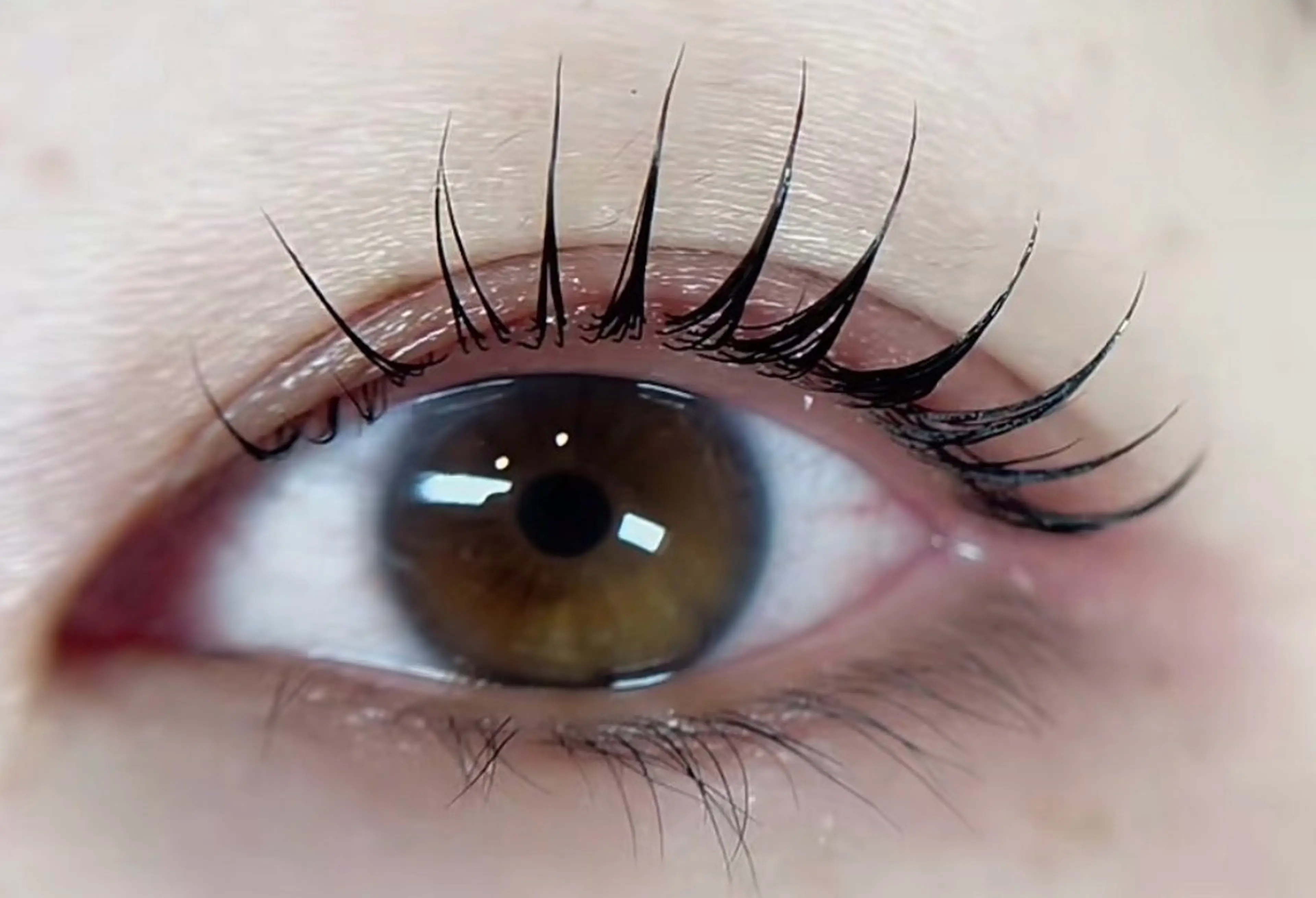 マツエク・マツパ 大人気🌸ran L ED専門店/パリエクのマツエク・マツパデザイン