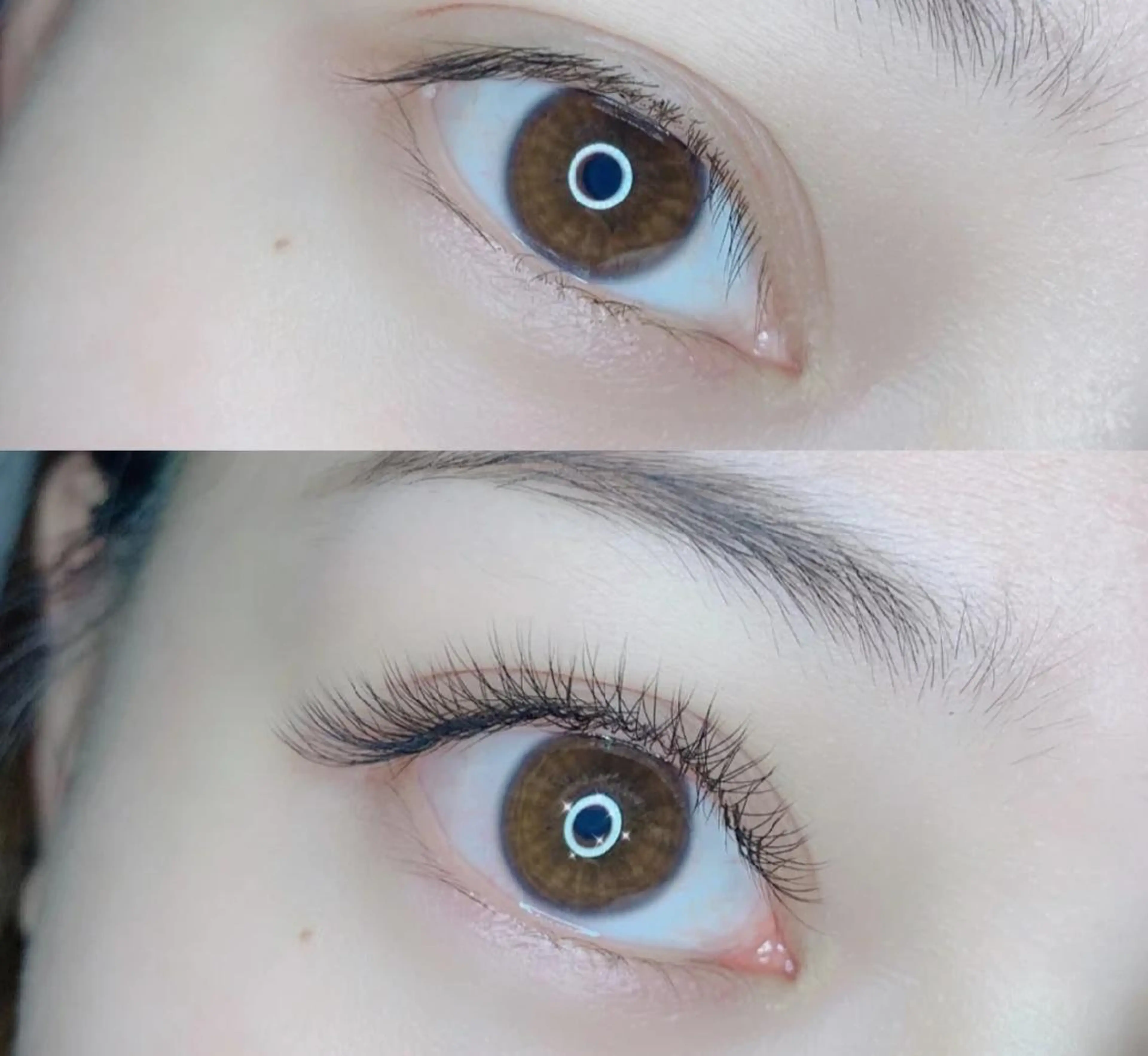 🌈LED 変更可能【3Dボリュームラッシュ】​〜​100束🍉ブラウンの写真