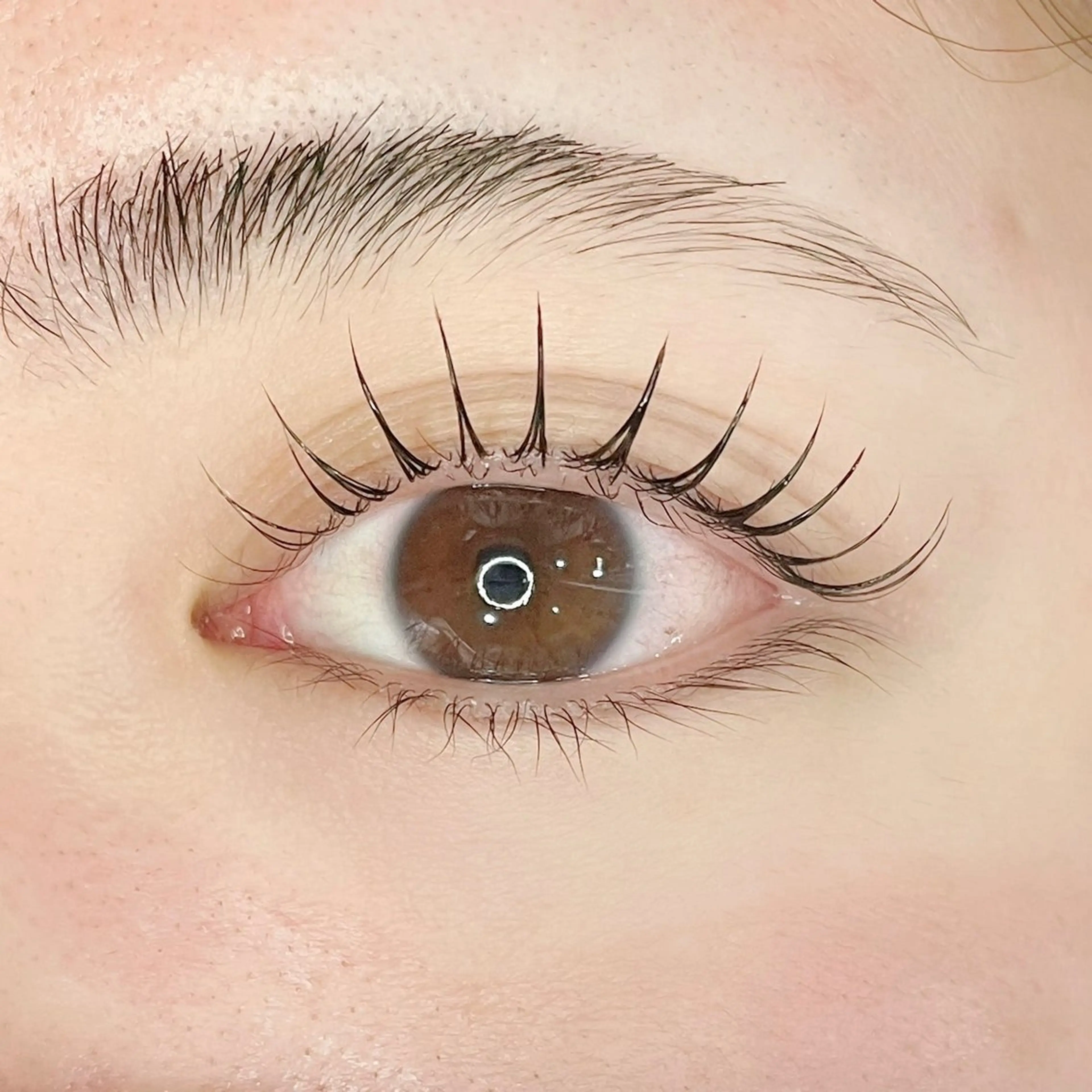 マツエク・マツパ eyelash Passion 木下のマツエク・マツパデザイン