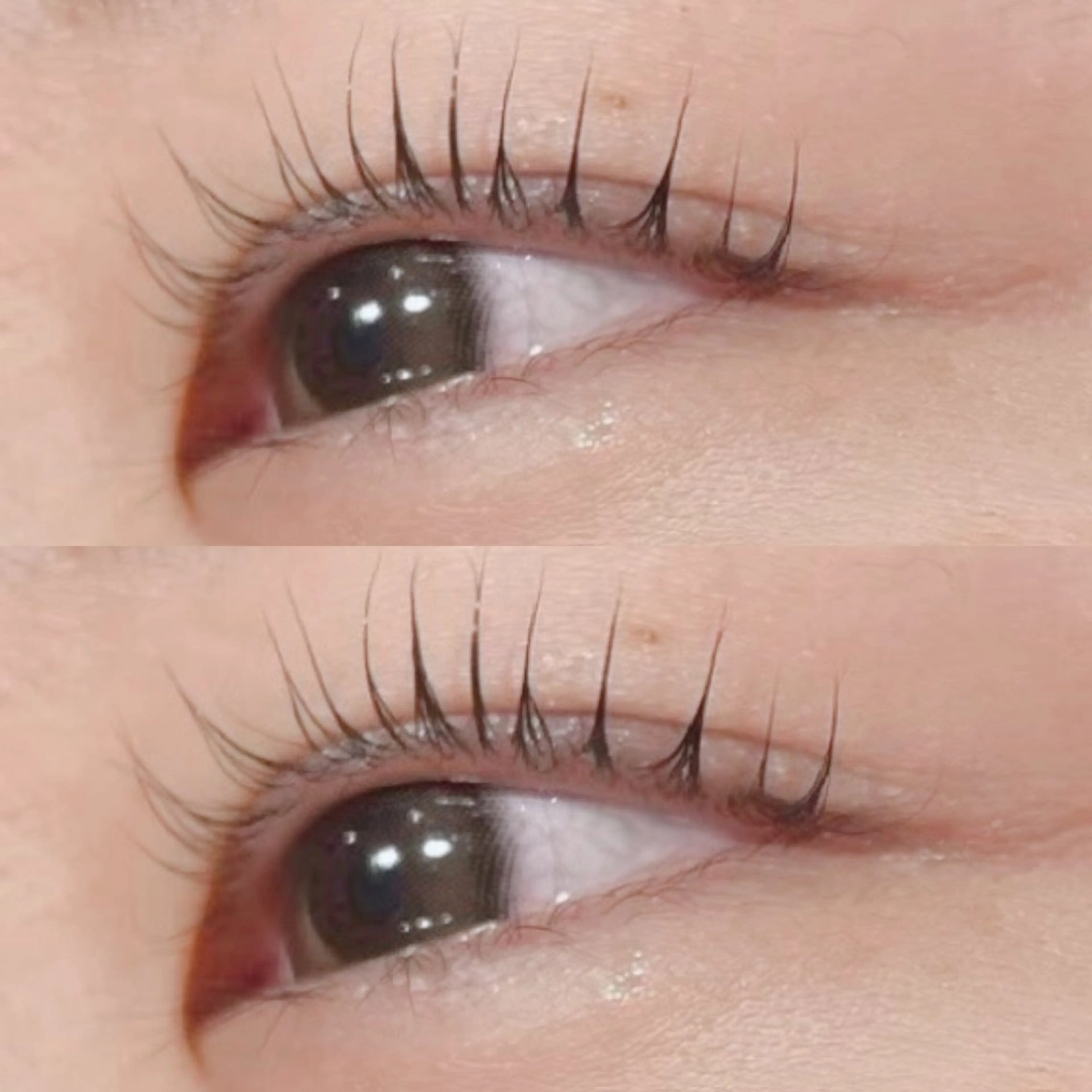 【ケアをしながら濃く見せたい方おすすめ💕】🤍束感マスカラパーマトステア配合トリートメント🤍 補足説明必読❕の写真