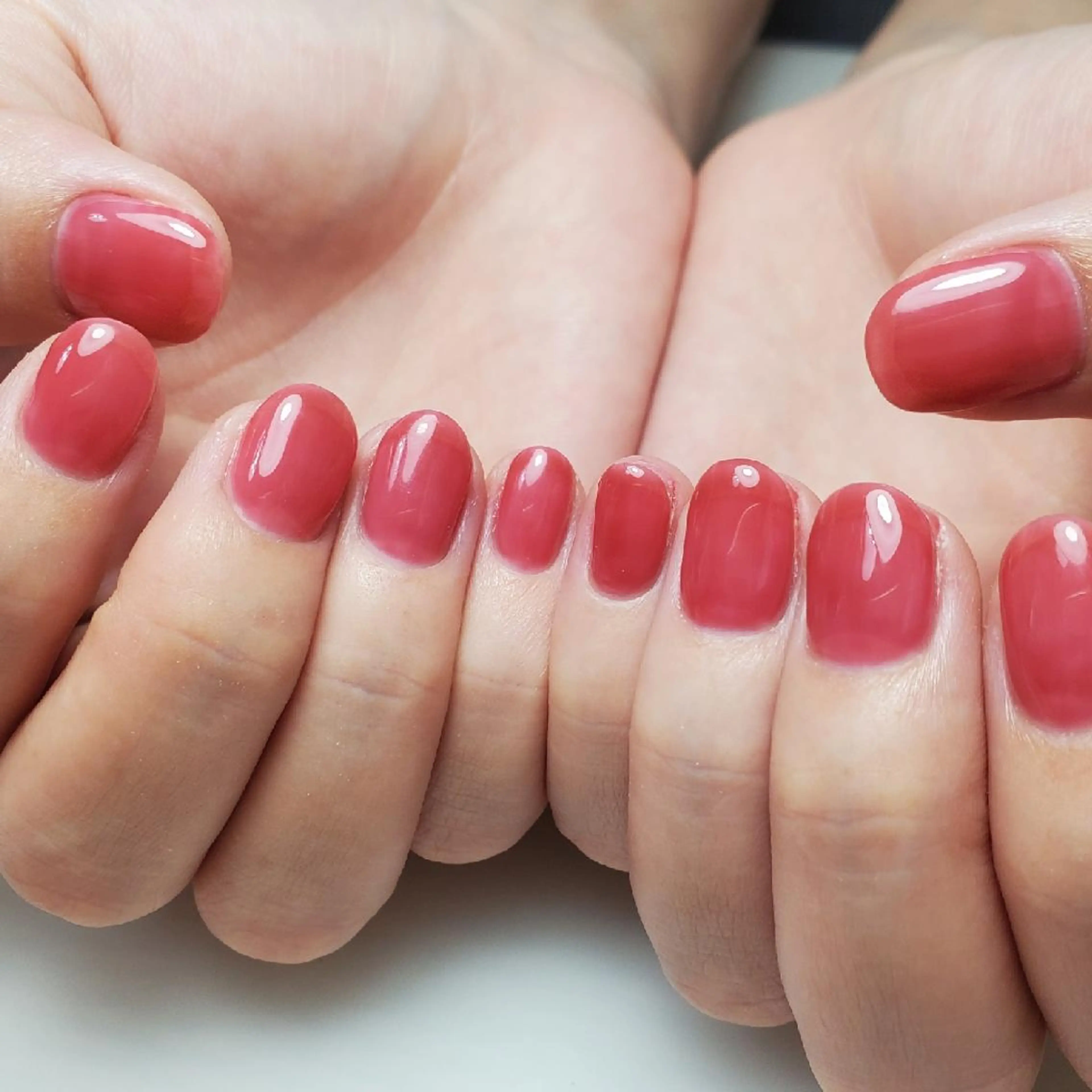 （オフ有）ワンカラーの写真