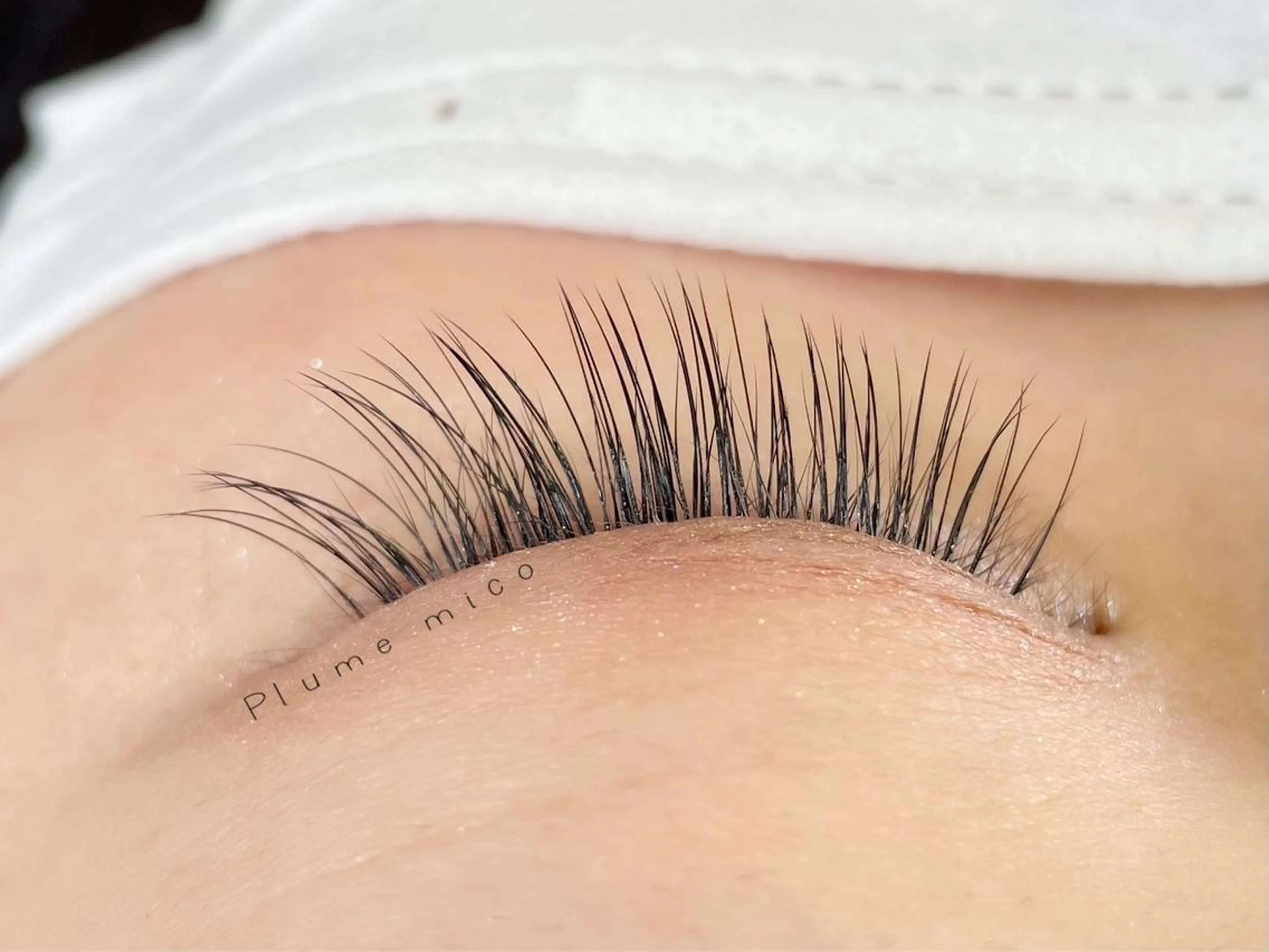 マツエク・マツパ マツエク Plume micoのマツエク・マツパデザイン