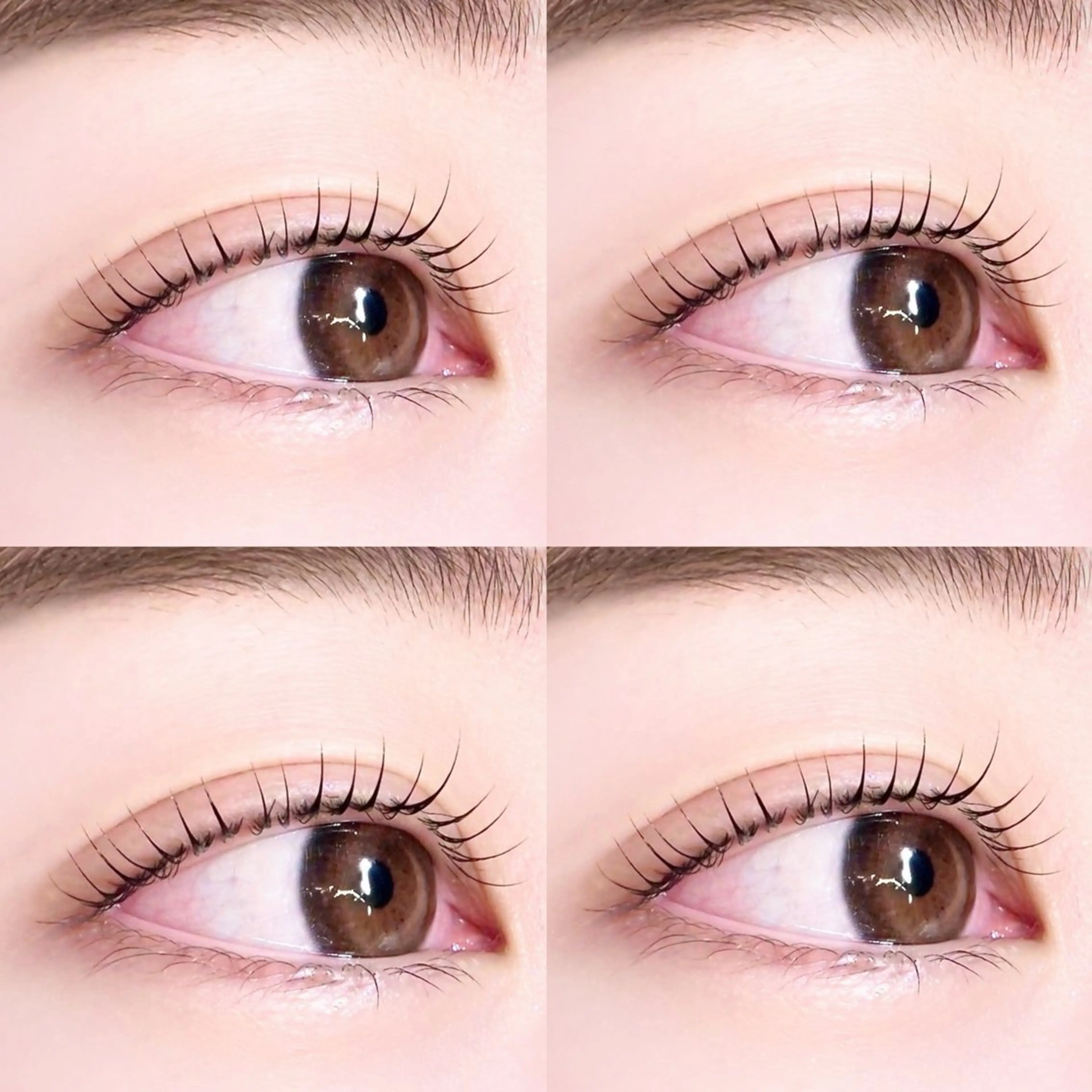 マツエク・マツパ マツパ fein. konomi🎀🪞のマツエク・マツパデザイン