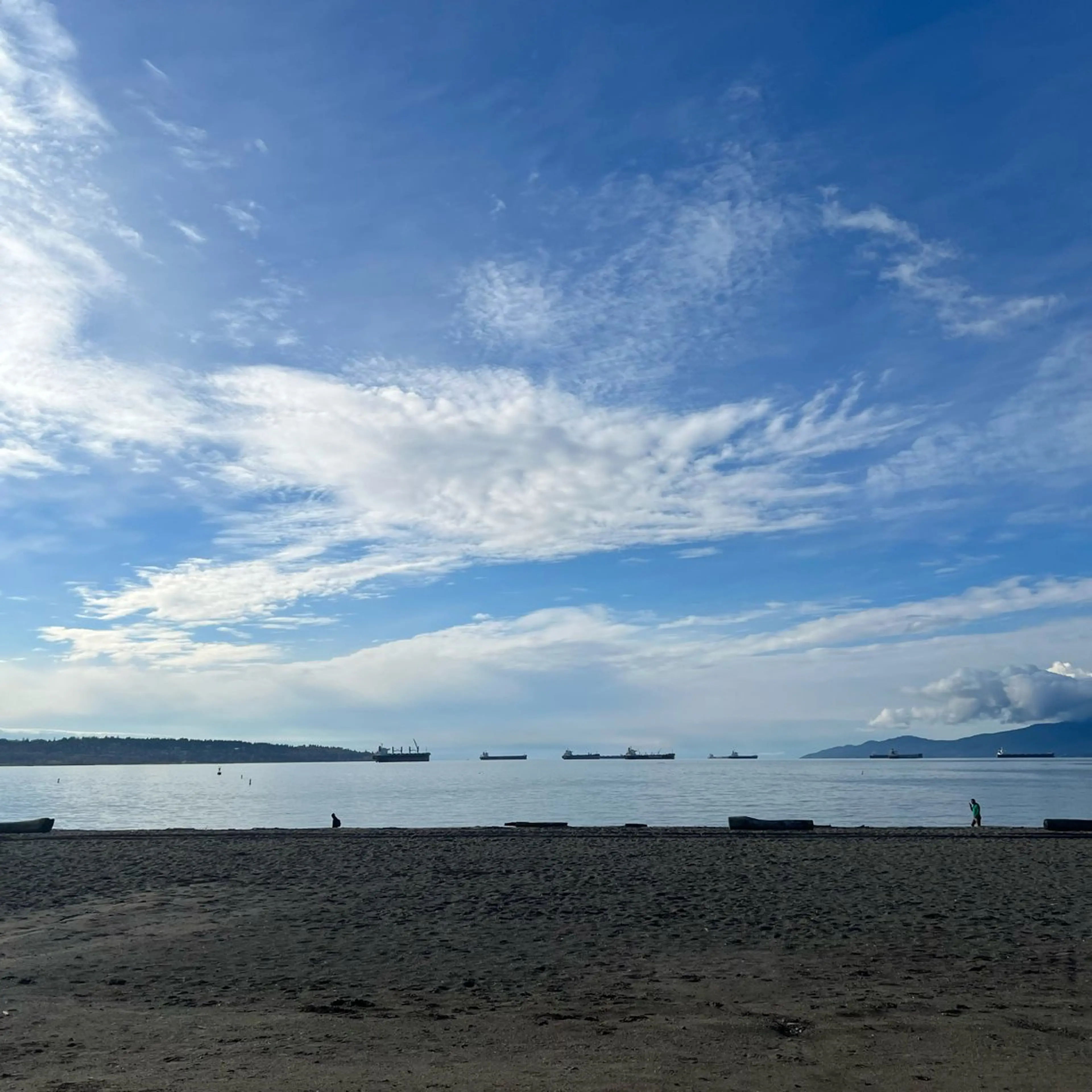 TIDEHAIR SHIHOのヘアスタイル