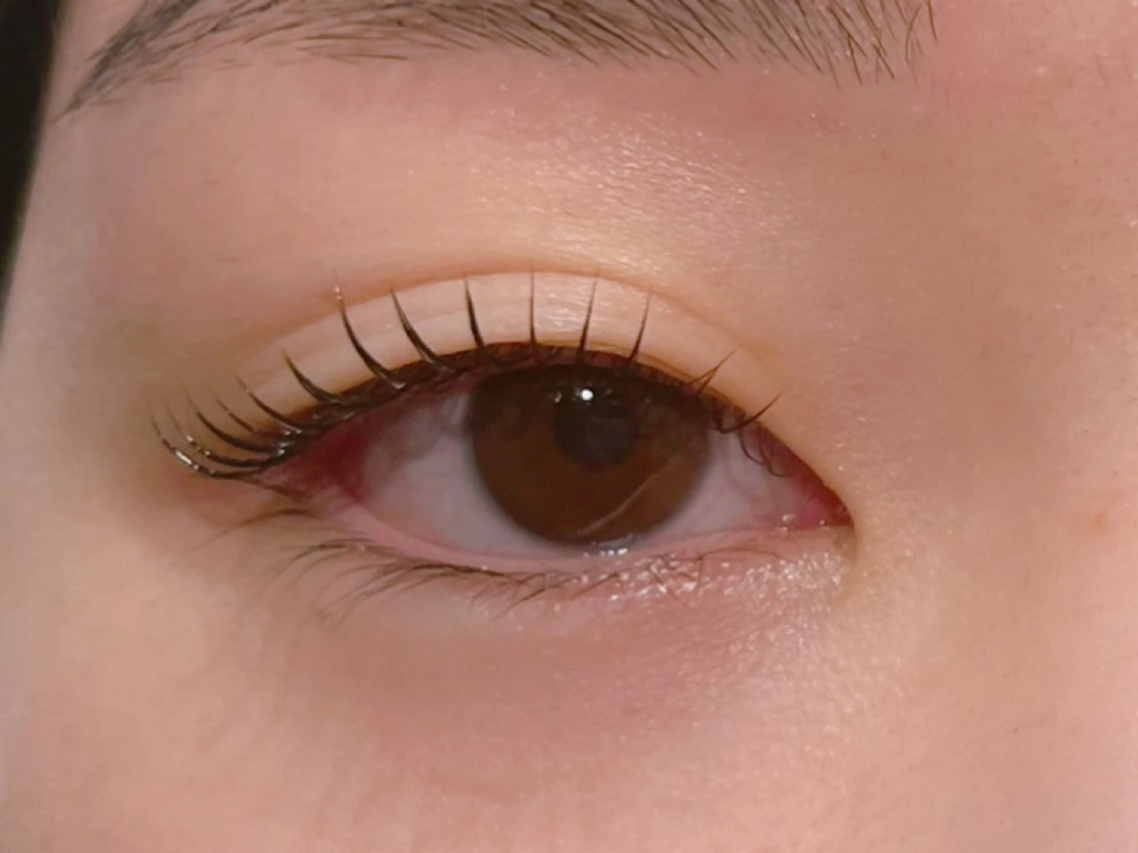 マツエク・マツパ マツパ 𝐞𝐢𝐠𝐡𝐭 MAO🖤の眉毛・アイブロウイメージ