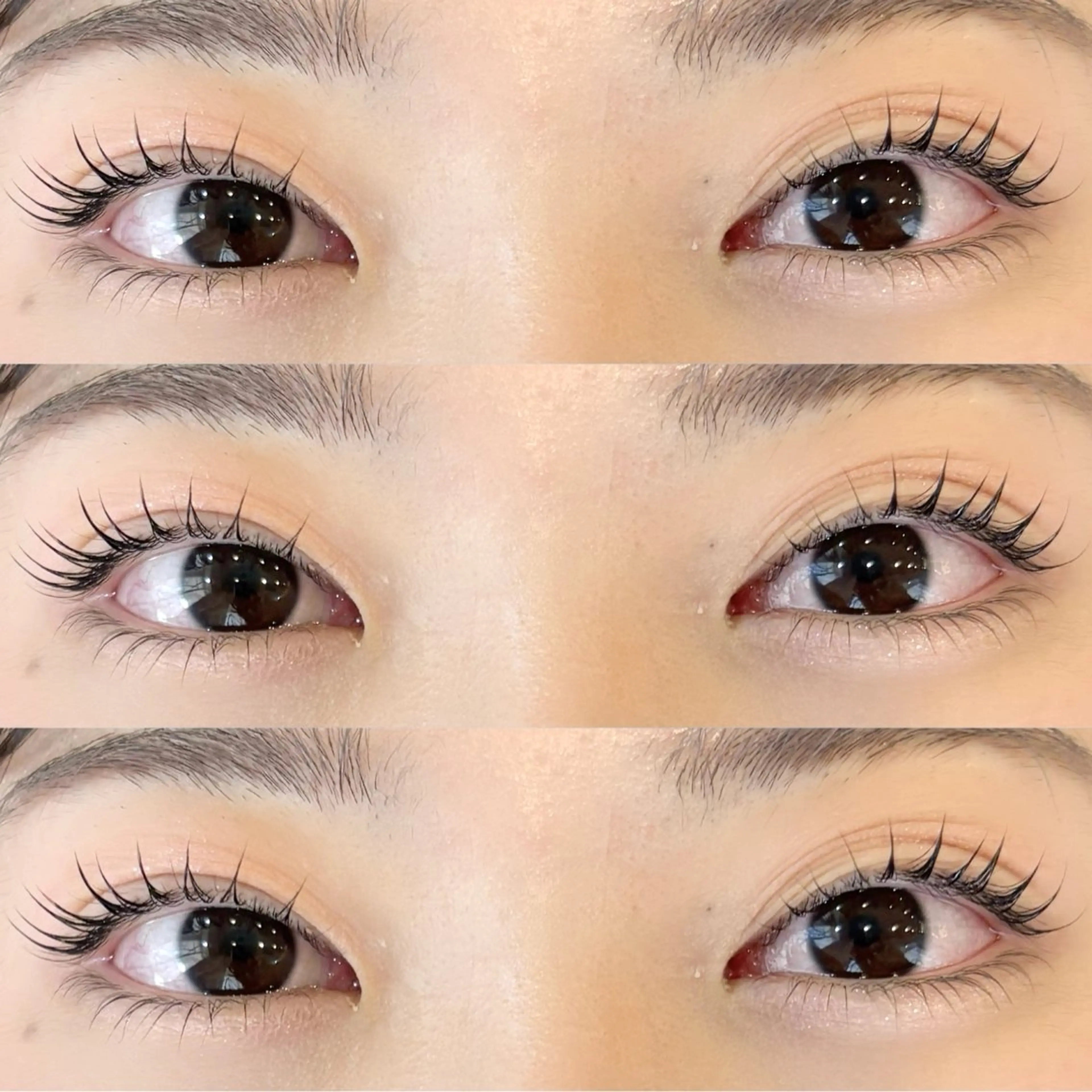 【🪽セットメニュー🪽】上下パリジェンヌラッシュリフト🫧の写真