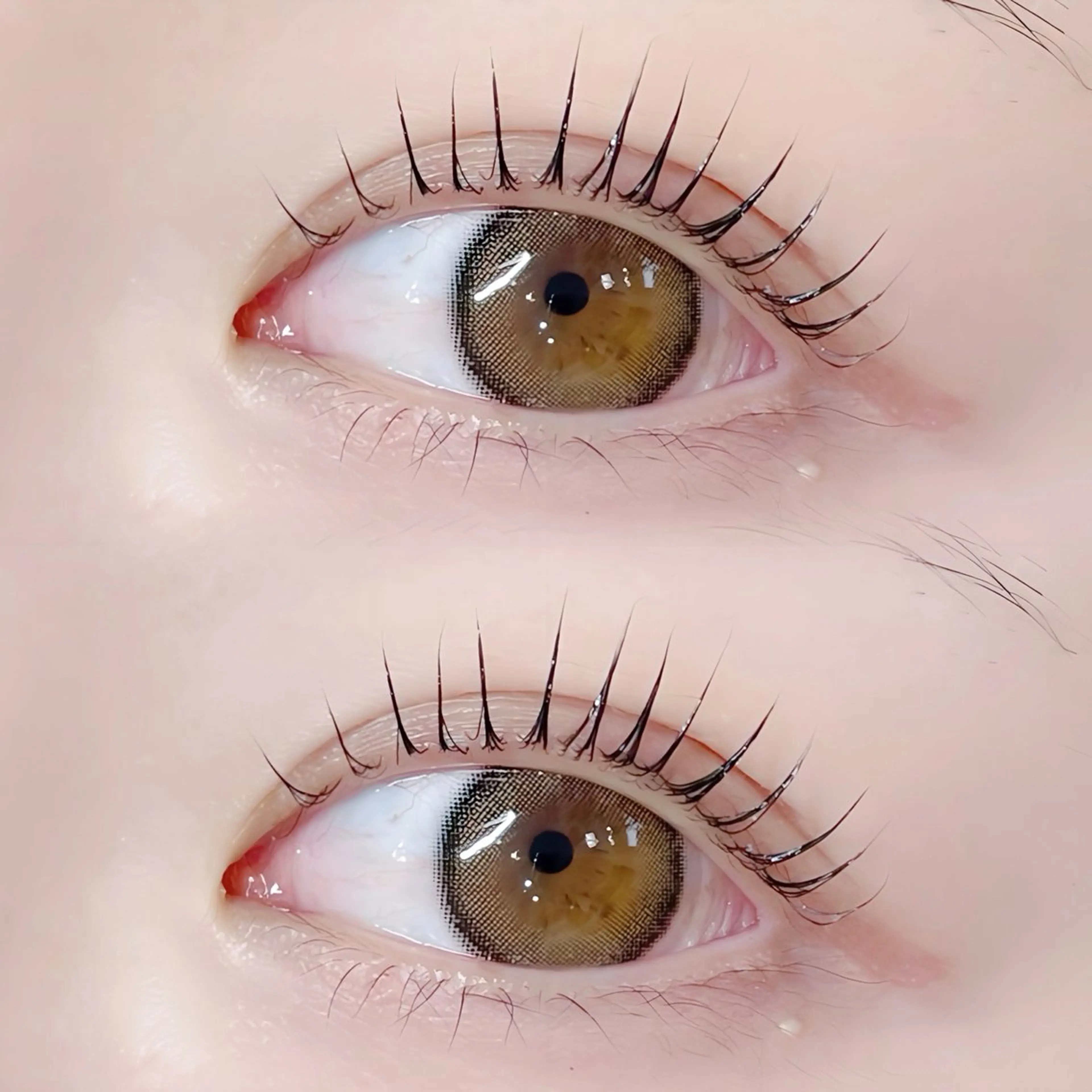 マツエク・マツパ 束感まつ毛 パリジェンヌラッシュリフト まつげパーマ 下まつげエクステ 一重×まつ毛パーマ rei /meme まつパ アイブロウのマツエク・マツパデザイン