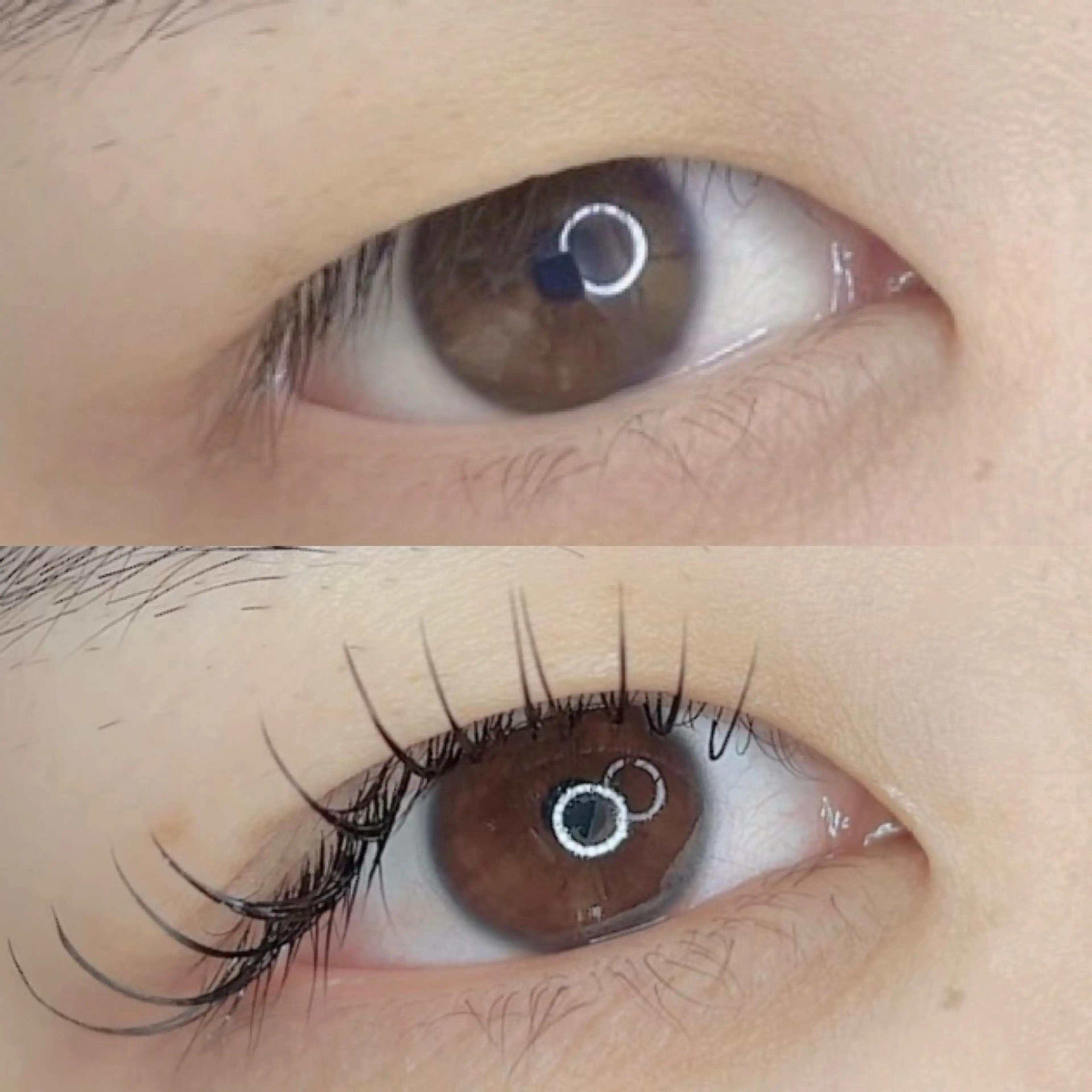 フラットラッシュ100本の写真