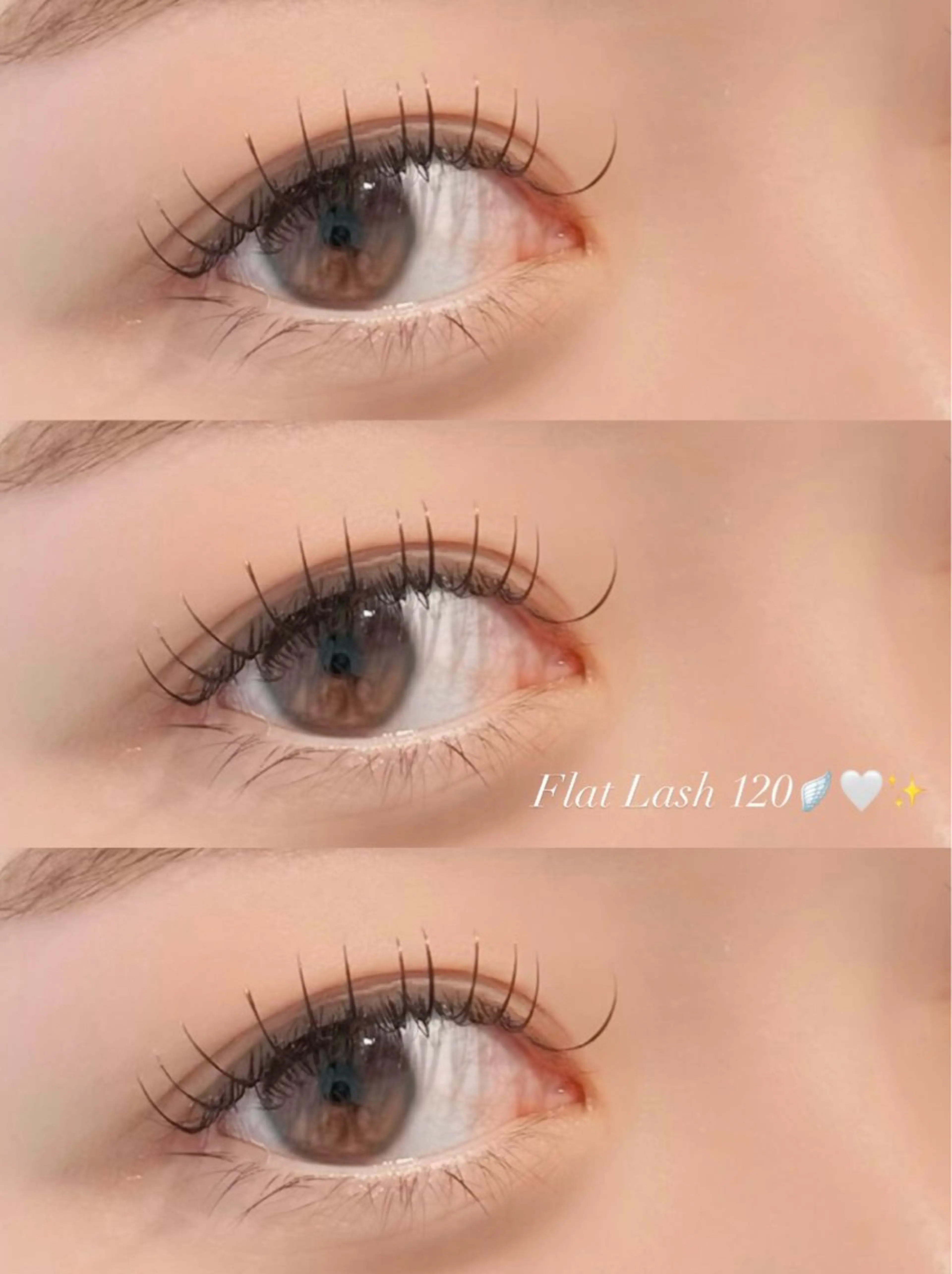 🫧【オフなし】まつ毛エクステ&アイブロウワックス🐩✨の写真