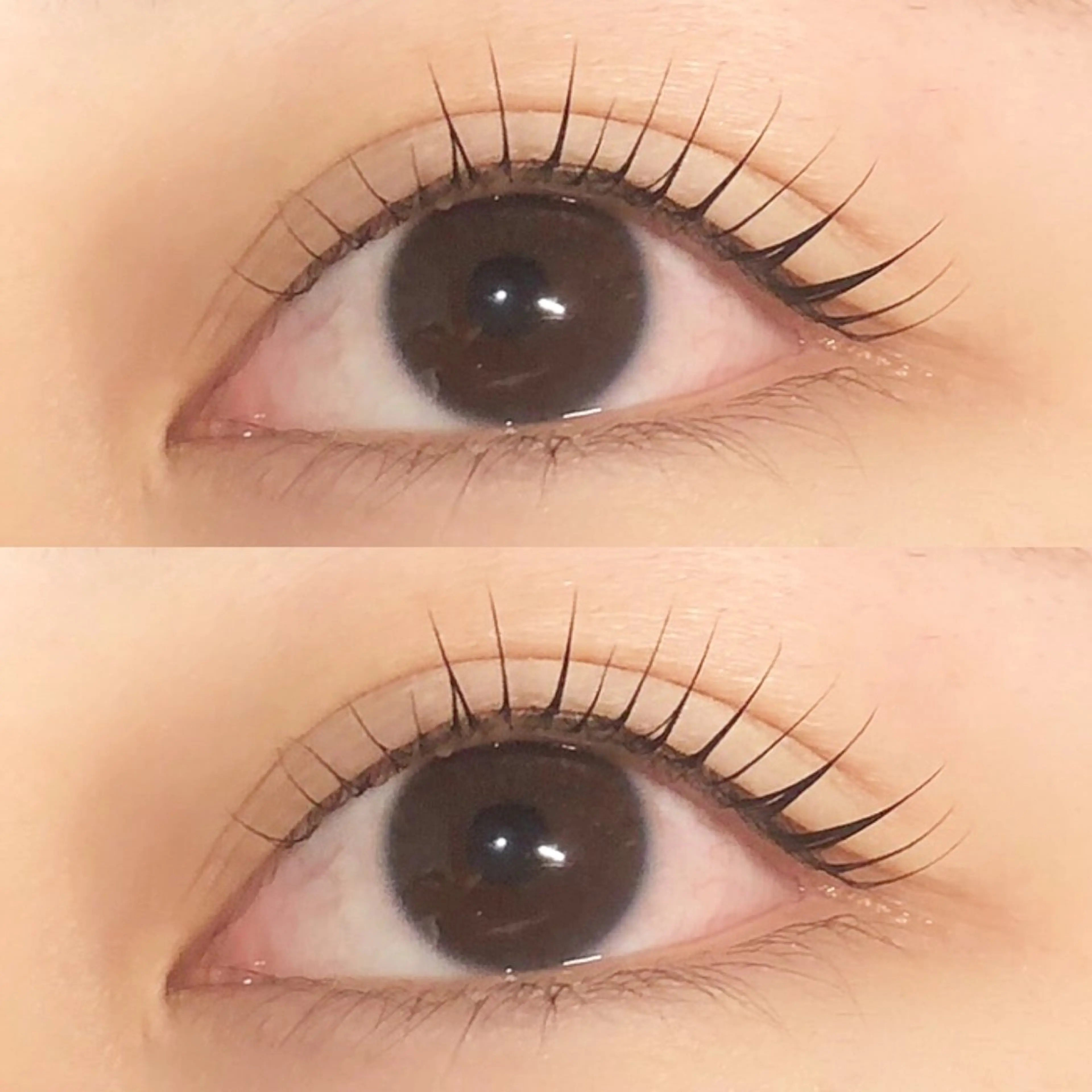 マツエク・マツパ まつげパーマ Dahliaダリア 斉藤のマツエク・マツパデザイン