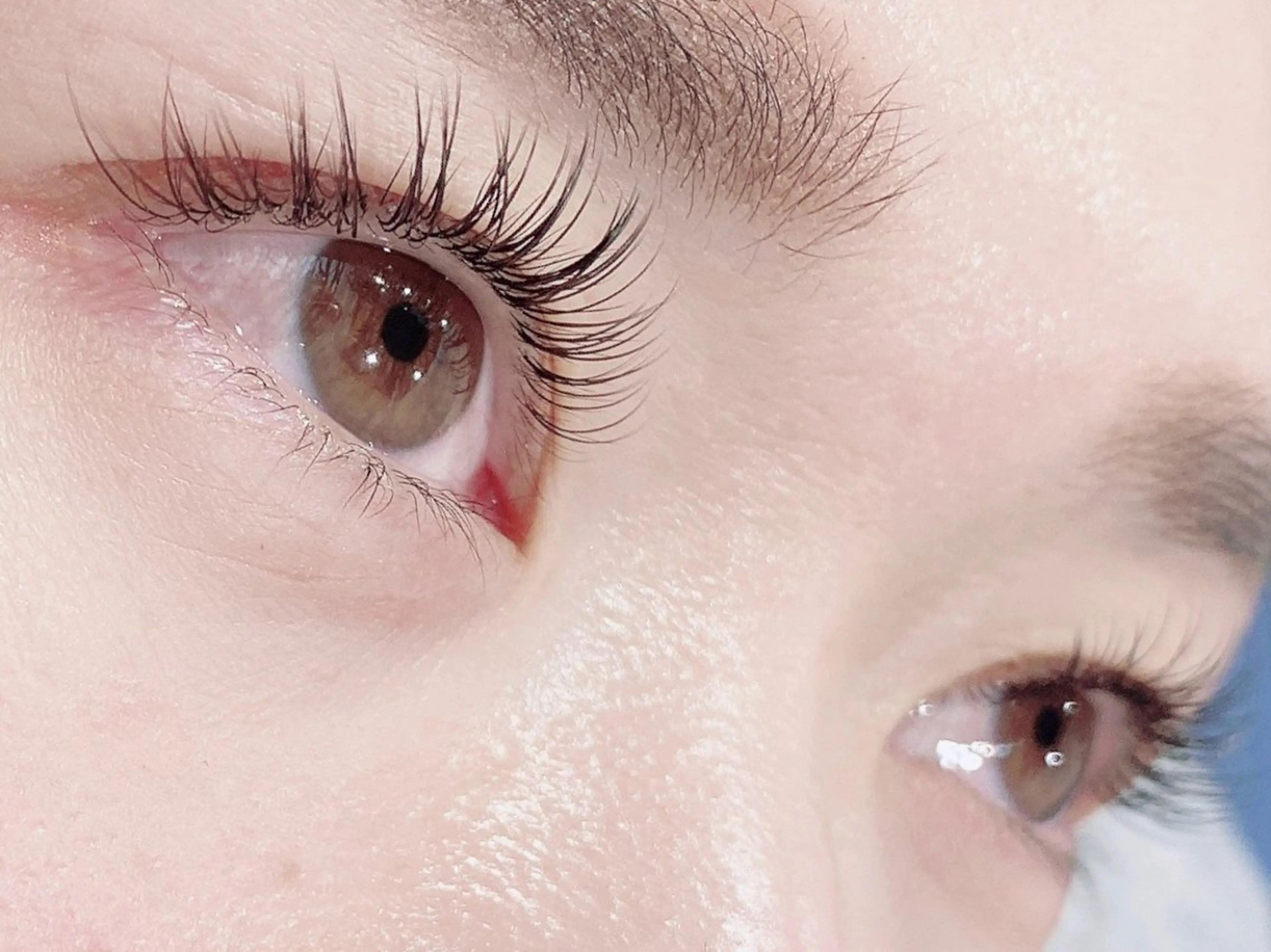 フラットラッシュ120本の写真