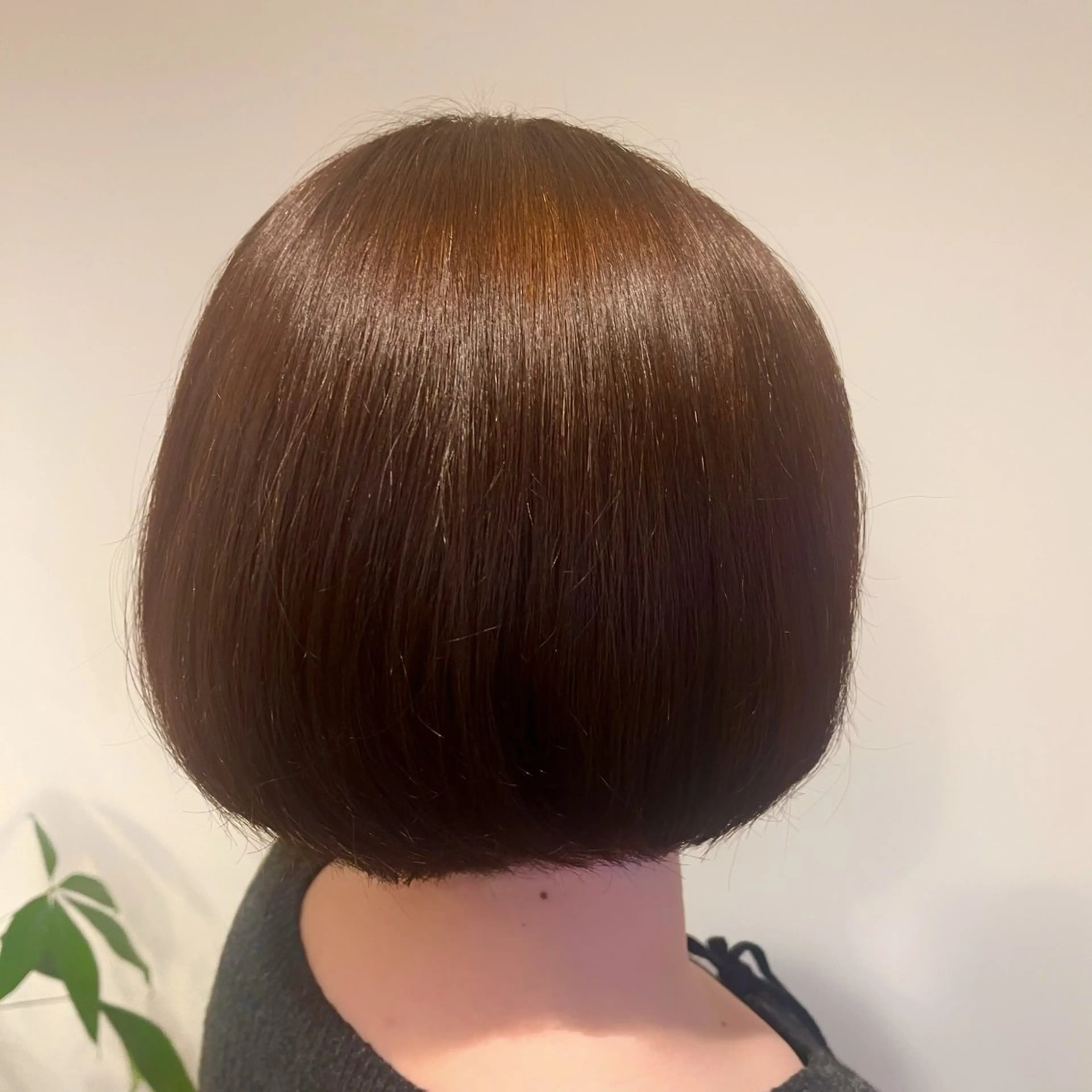 ショート カラー ヘアカラー 朝野 美華/暖色カラーのヘアスタイル