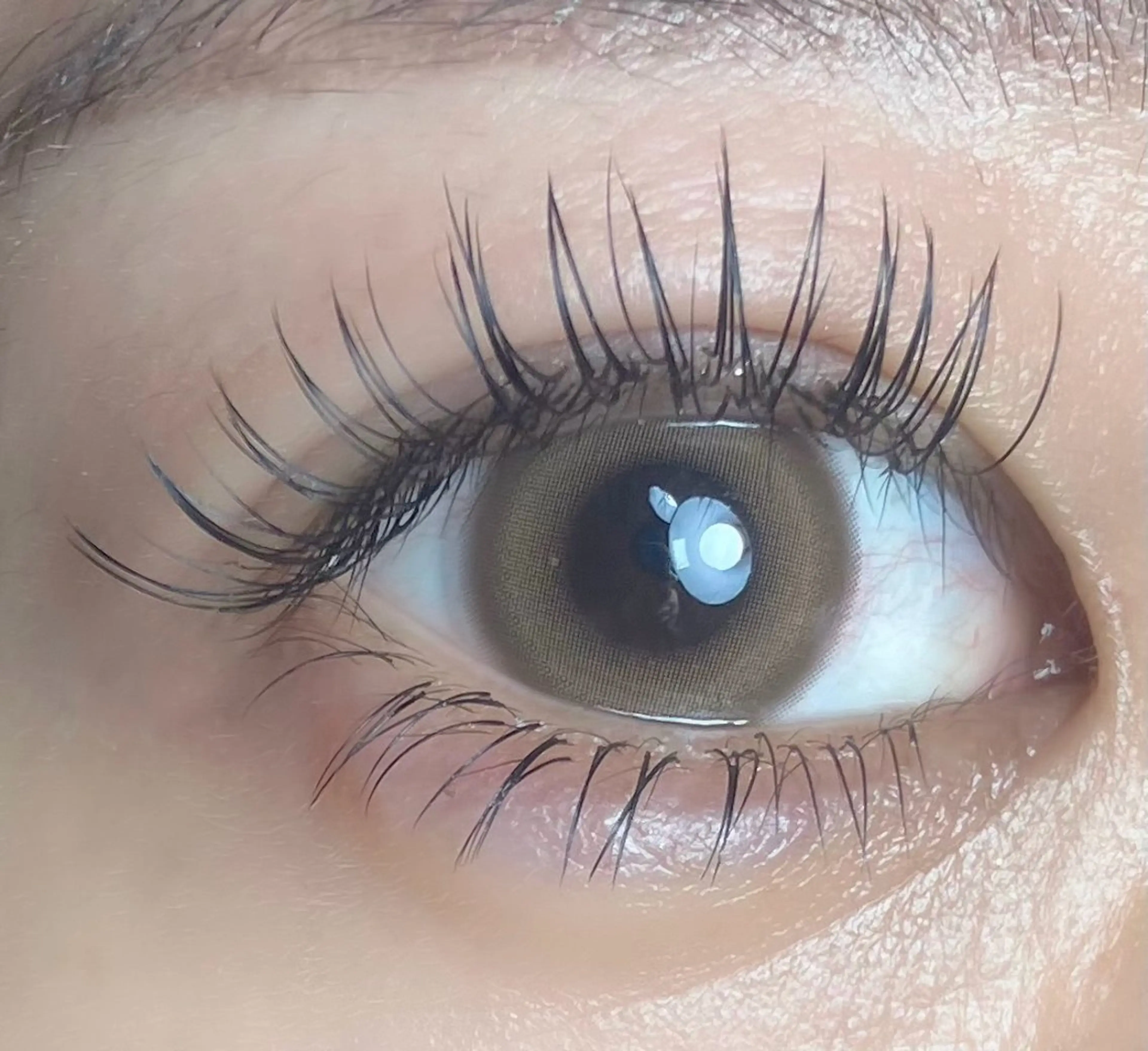 マツエク・マツパ 付け放題 フラットラッシュ セーブル 下まつげエクステ マツエク eyelash Lukkaのマツエク・マツパデザイン