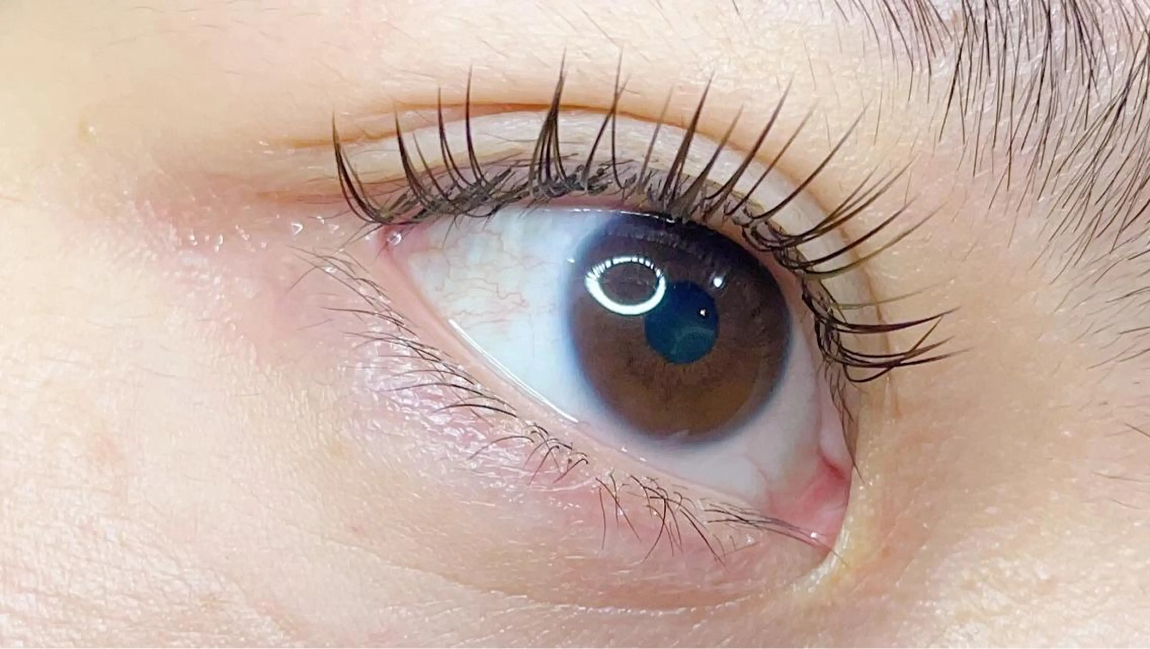 マツエク・マツパ フラットラッシュ miu. eyelashのマツエク・マツパデザイン