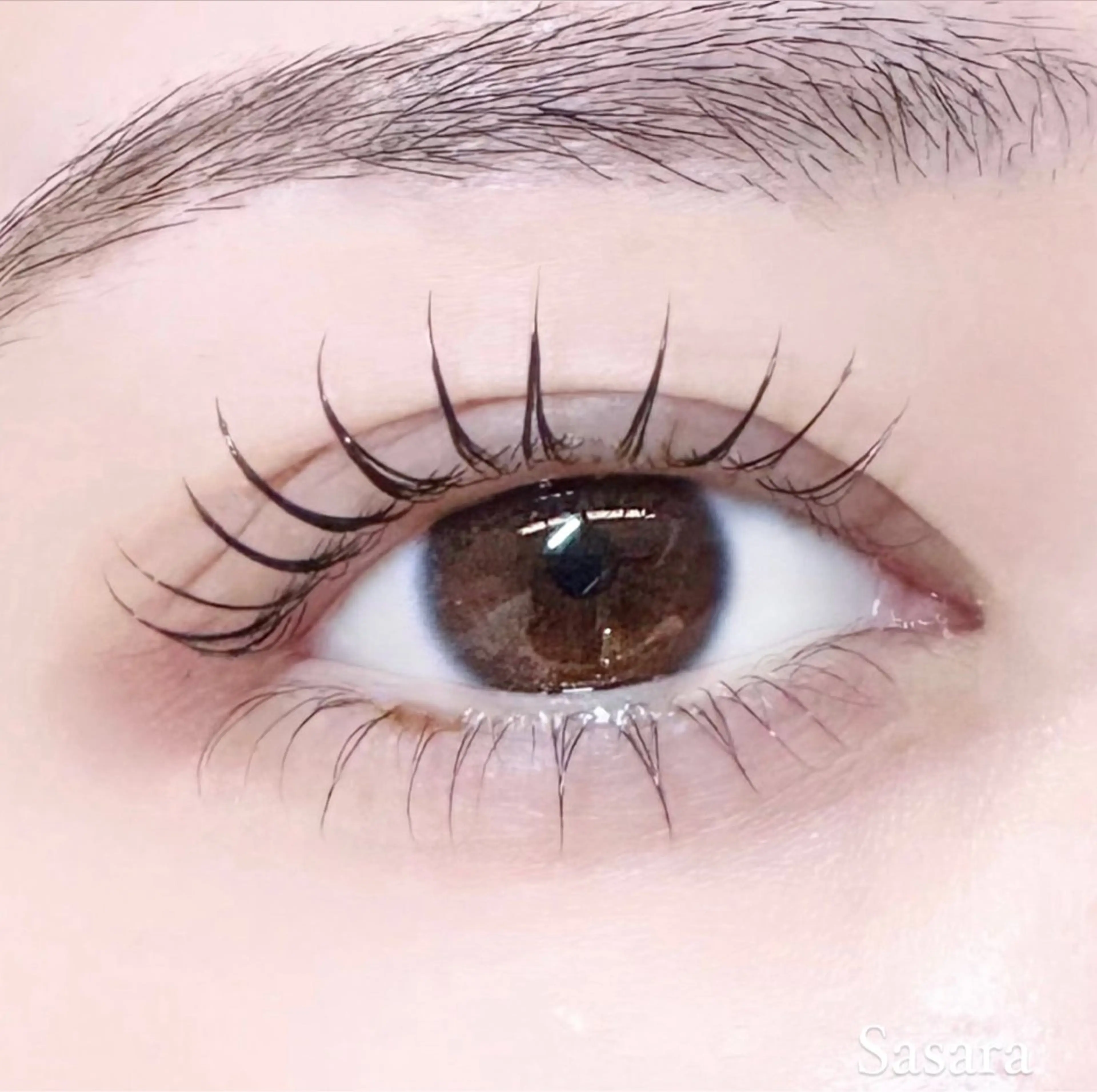 マツエク・マツパ 🍒束間まつ毛ෆ sasara🍒のマツエク・マツパデザイン