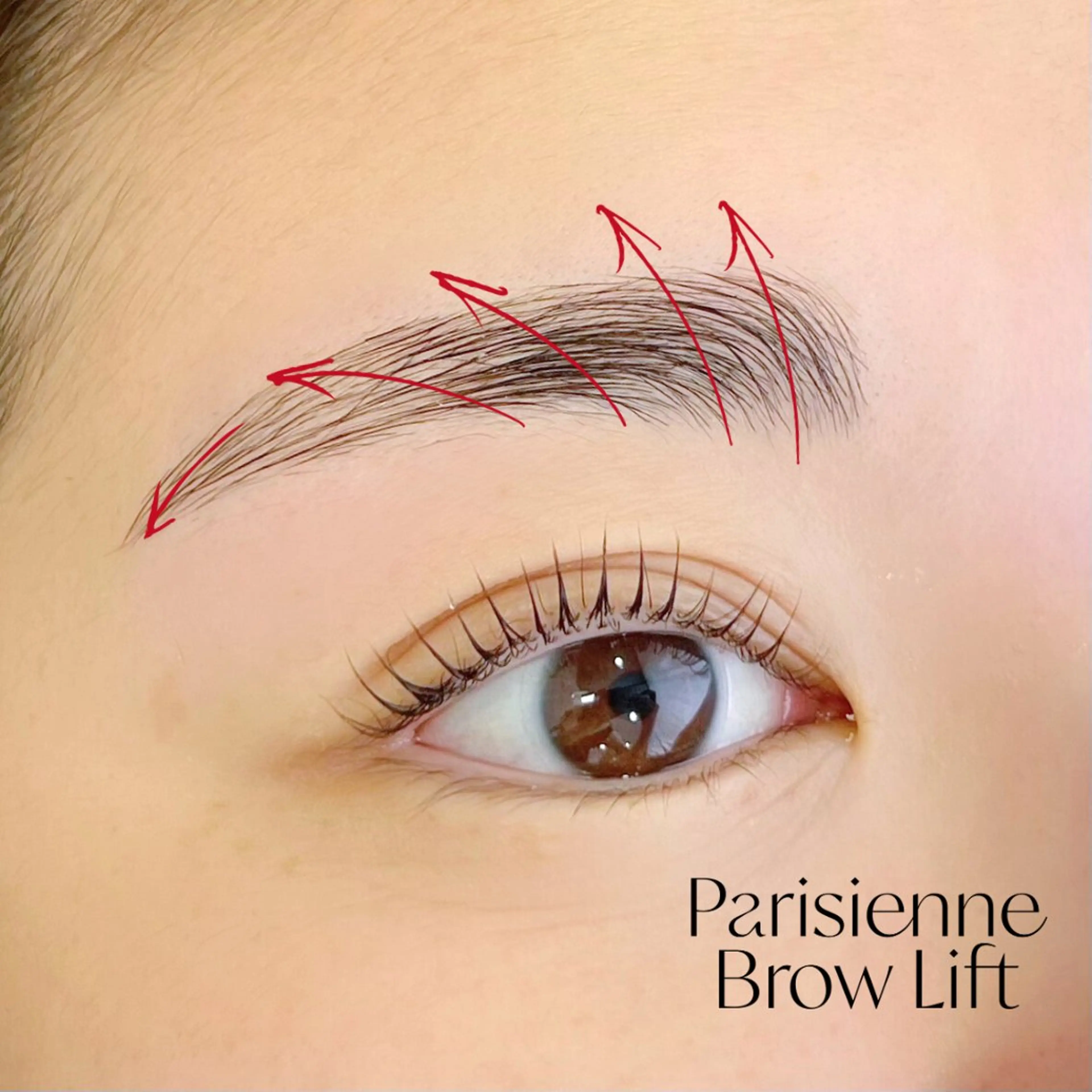 マツエク・マツパ パリジェンヌラッシュリフト ワックス脱毛 眉カット その他(アイブロウ) Cherie Kawaguchiのマツエク・マツパデザイン