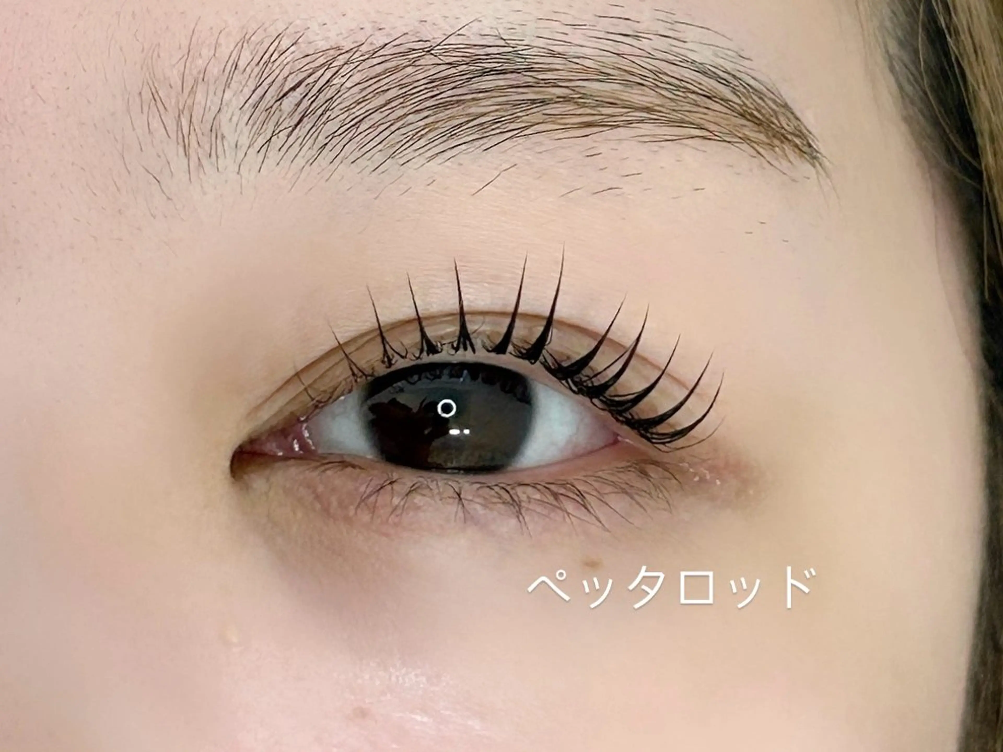 マツエク・マツパ パリジェンヌラッシュリフト まつげパーマ 一重×まつ毛パーマ アトリエFAM所属・アイラッシュ アトリエFAMのマツエク・マツパデザイン